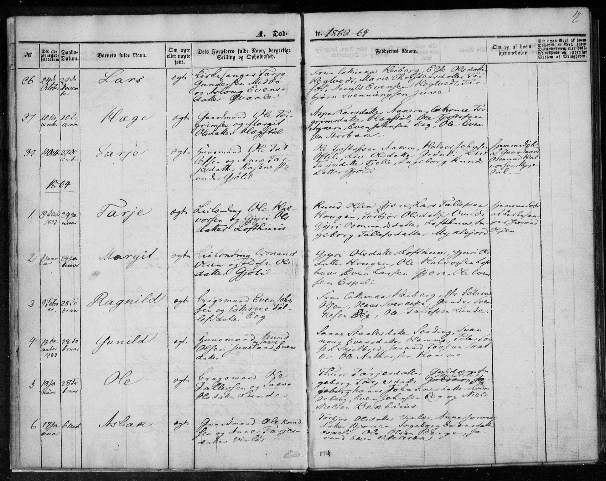 Lårdal kirkebøker, SAKO/A-284/F/Fa/L0006: Parish register (official) no. I 6, 1861-1886, p. 17