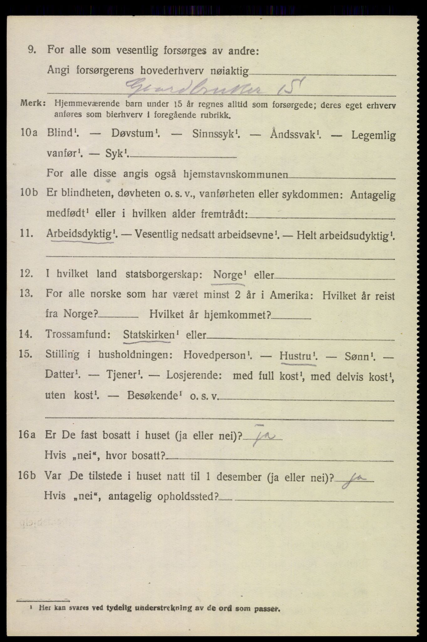 SAK, 1920 census for Hornnes, 1920, p. 2510