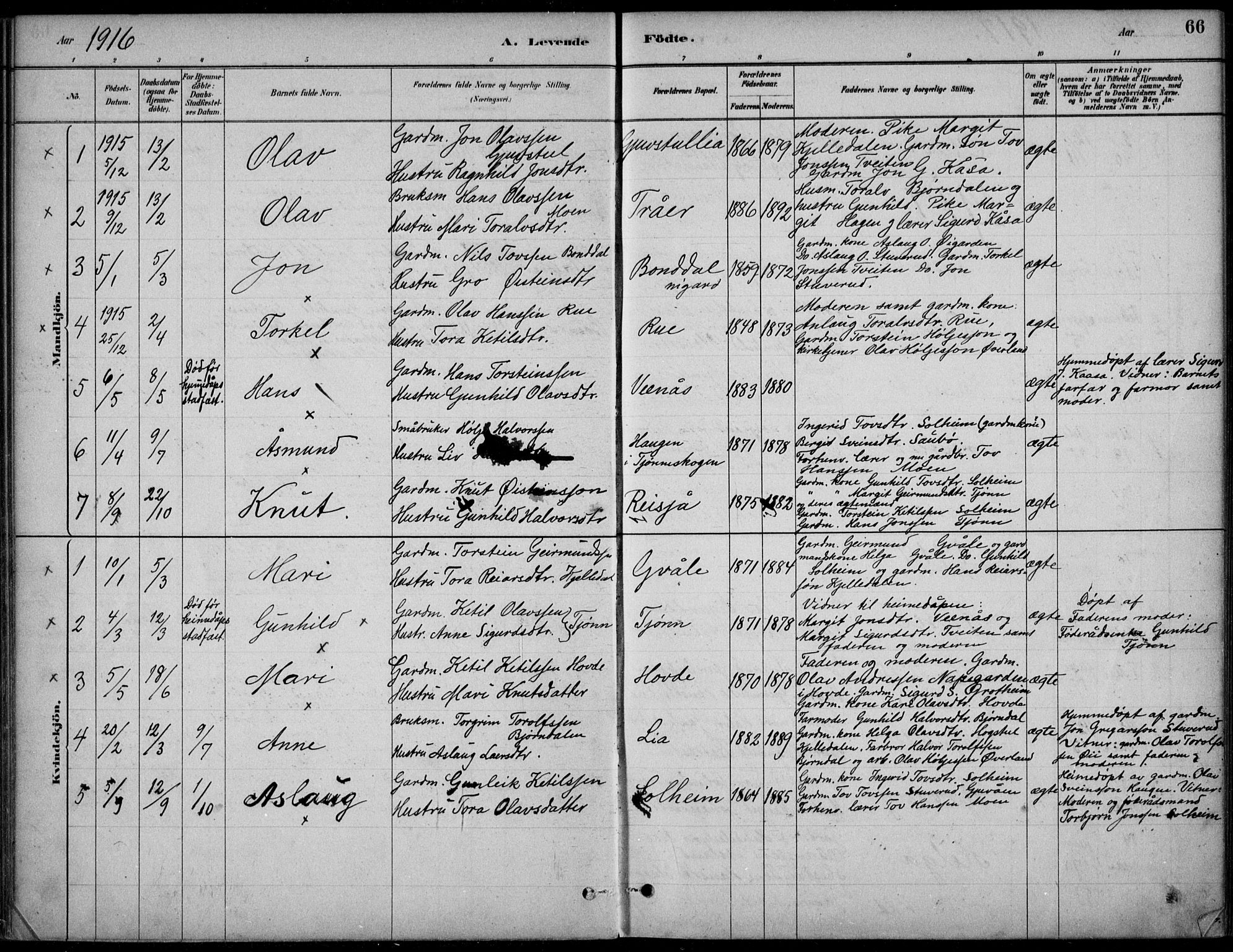 Hjartdal kirkebøker, AV/SAKO-A-270/F/Fc/L0002: Parish register (official) no. III 2, 1880-1936, p. 66