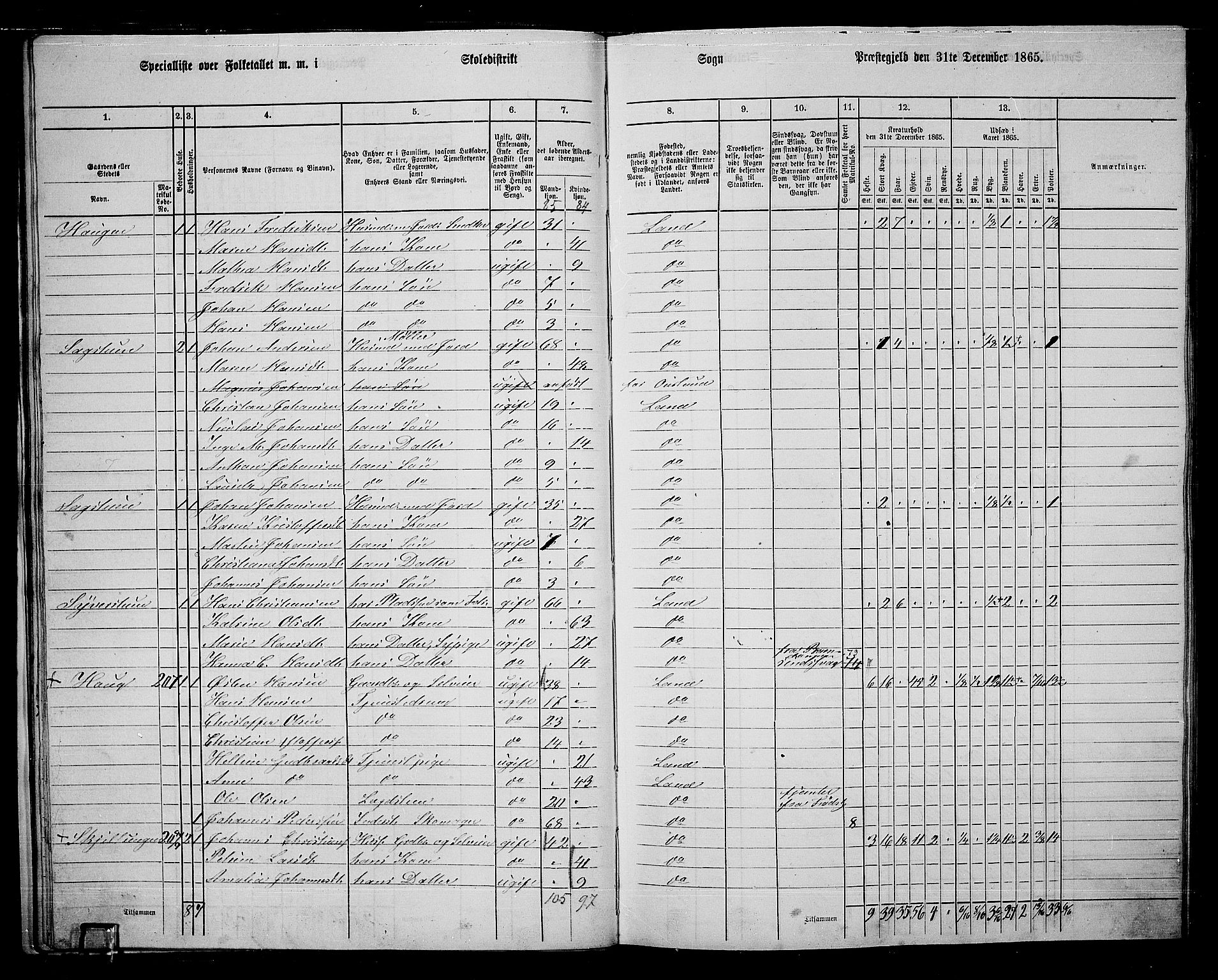 RA, 1865 census for Land, 1865, p. 236