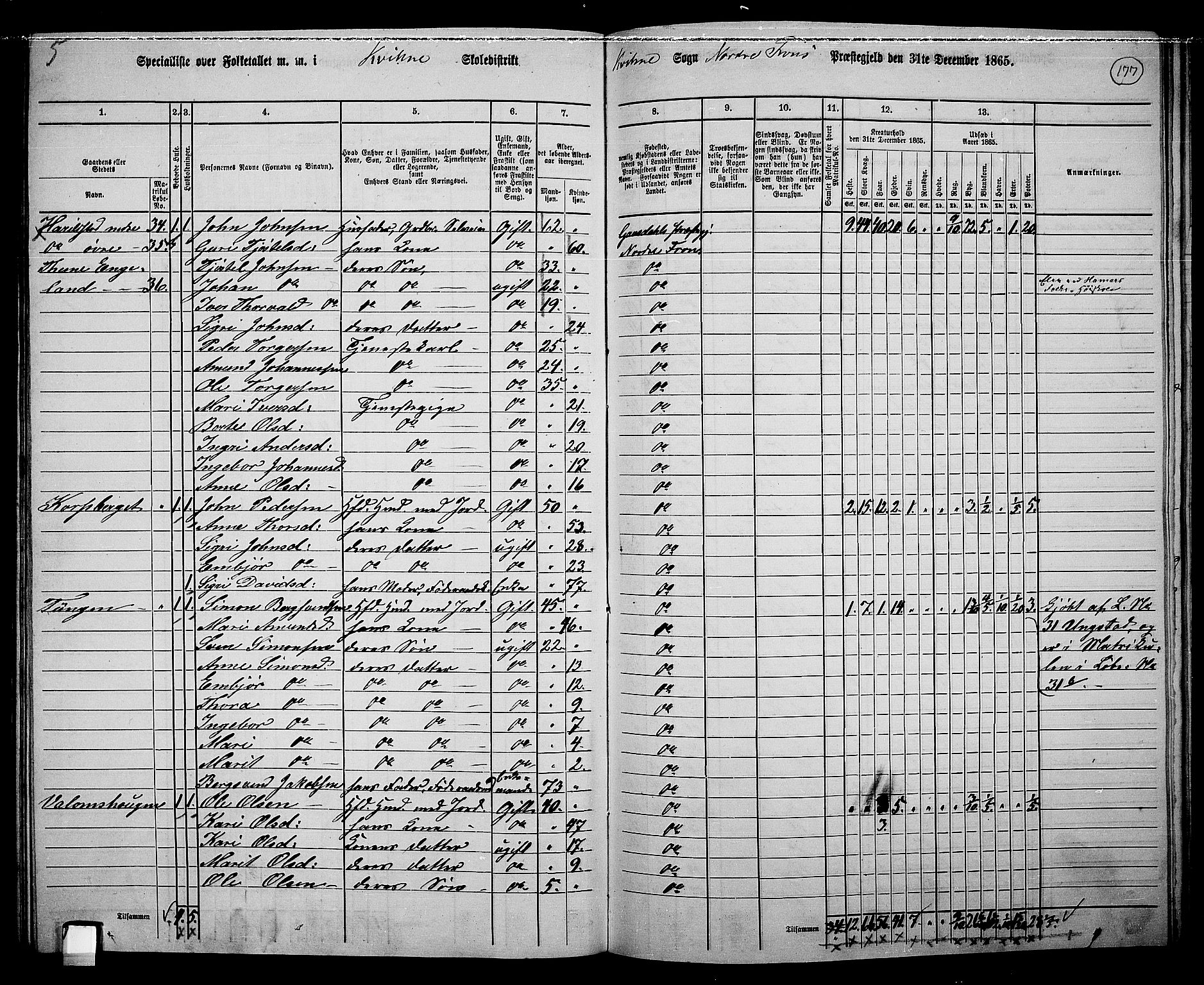 RA, 1865 census for Nord-Fron, 1865, p. 162