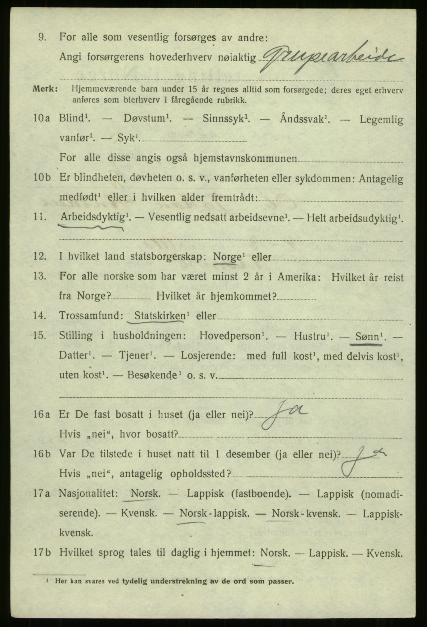 SATØ, 1920 census for Tromsø, 1920, p. 25154