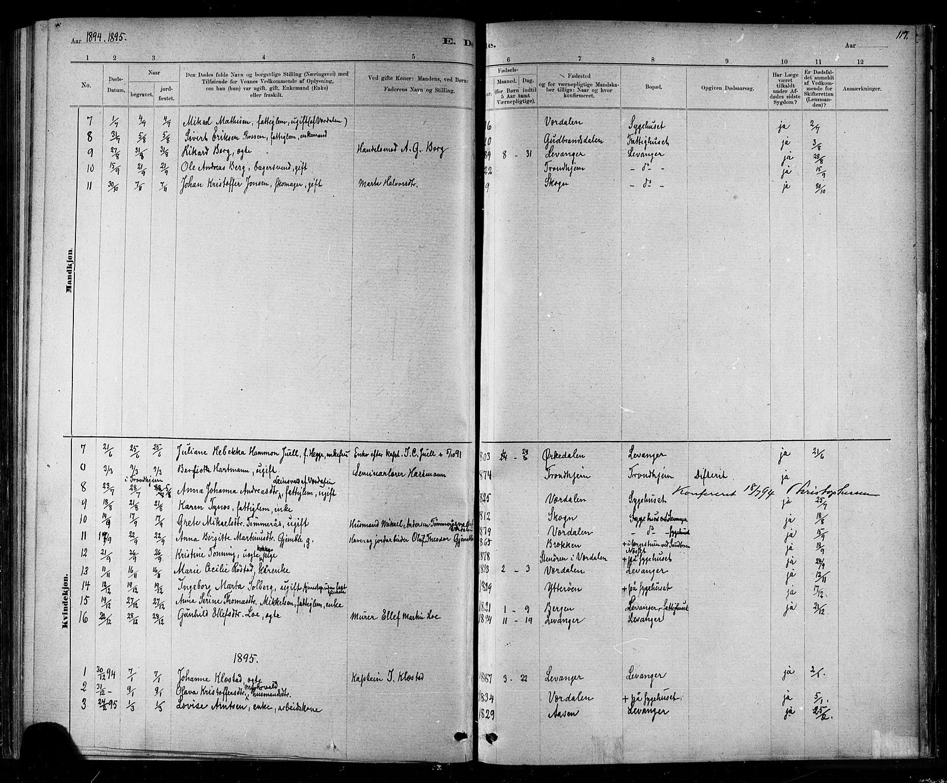 Ministerialprotokoller, klokkerbøker og fødselsregistre - Nord-Trøndelag, SAT/A-1458/720/L0192: Parish register (copy) no. 720C01, 1880-1917, p. 117