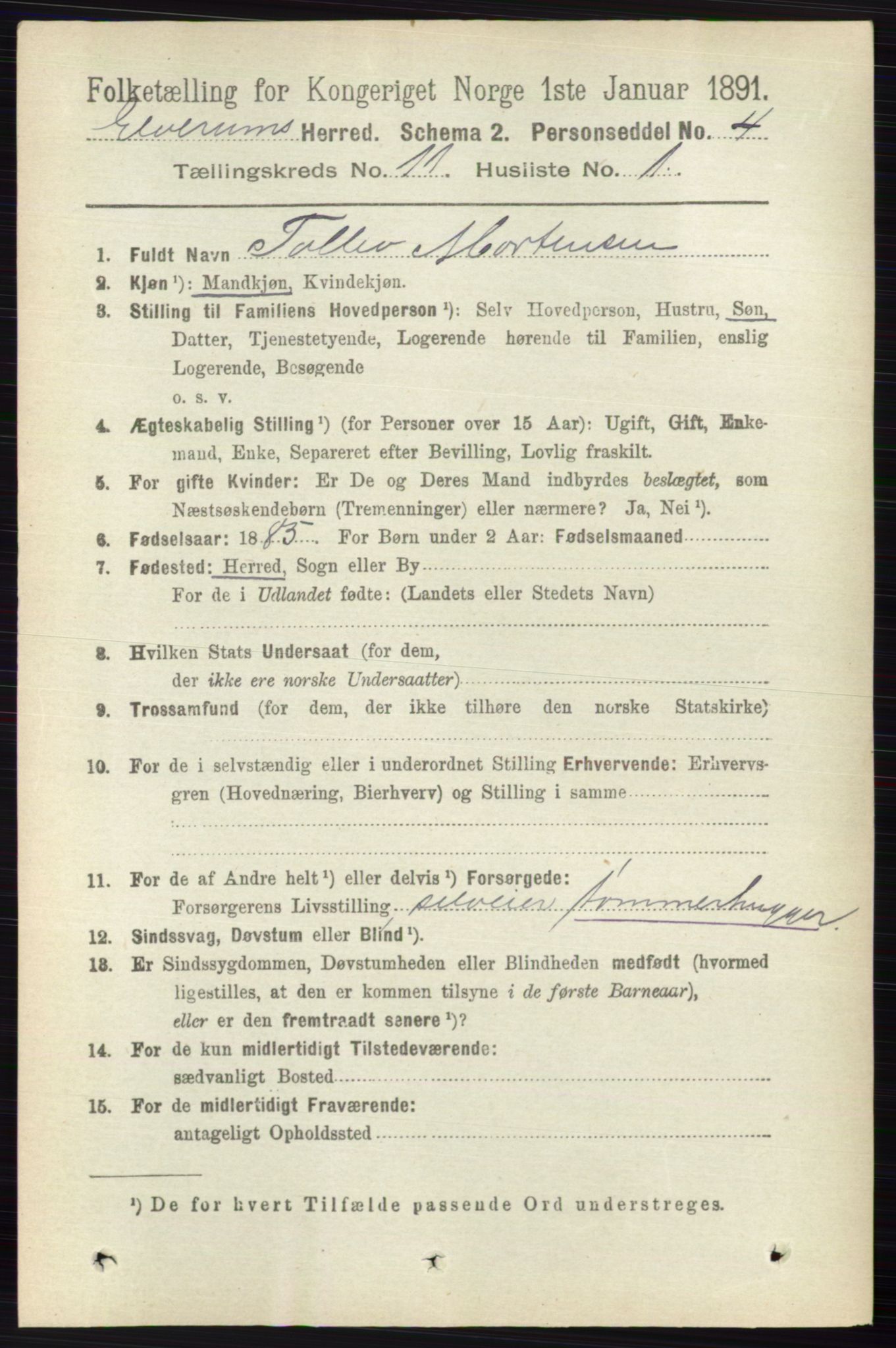 RA, 1891 census for 0427 Elverum, 1891, p. 9052