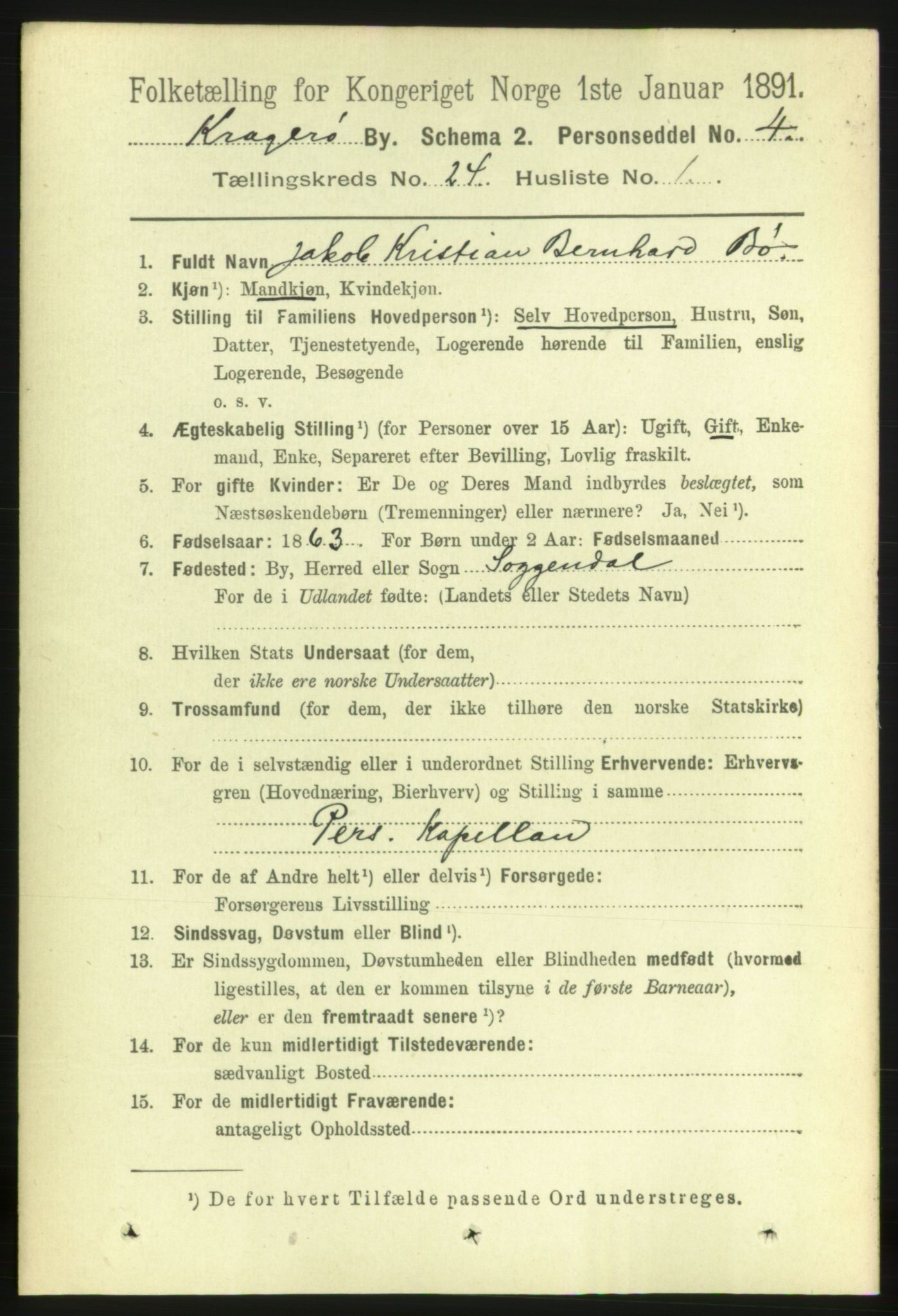 RA, 1891 census for 0801 Kragerø, 1891, p. 4996