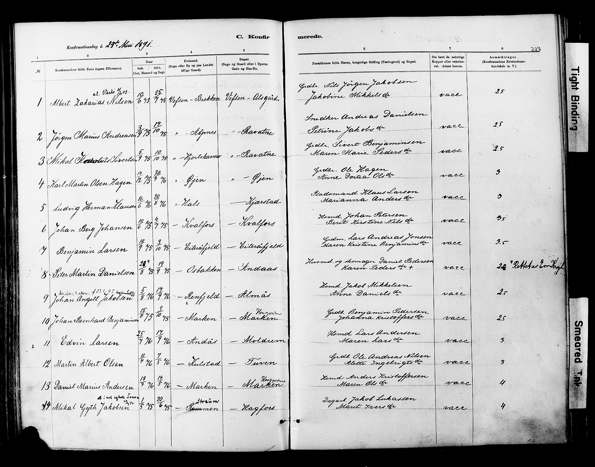 Ministerialprotokoller, klokkerbøker og fødselsregistre - Nordland, SAT/A-1459/820/L0295: Parish register (official) no. 820A16, 1880-1896, p. 227