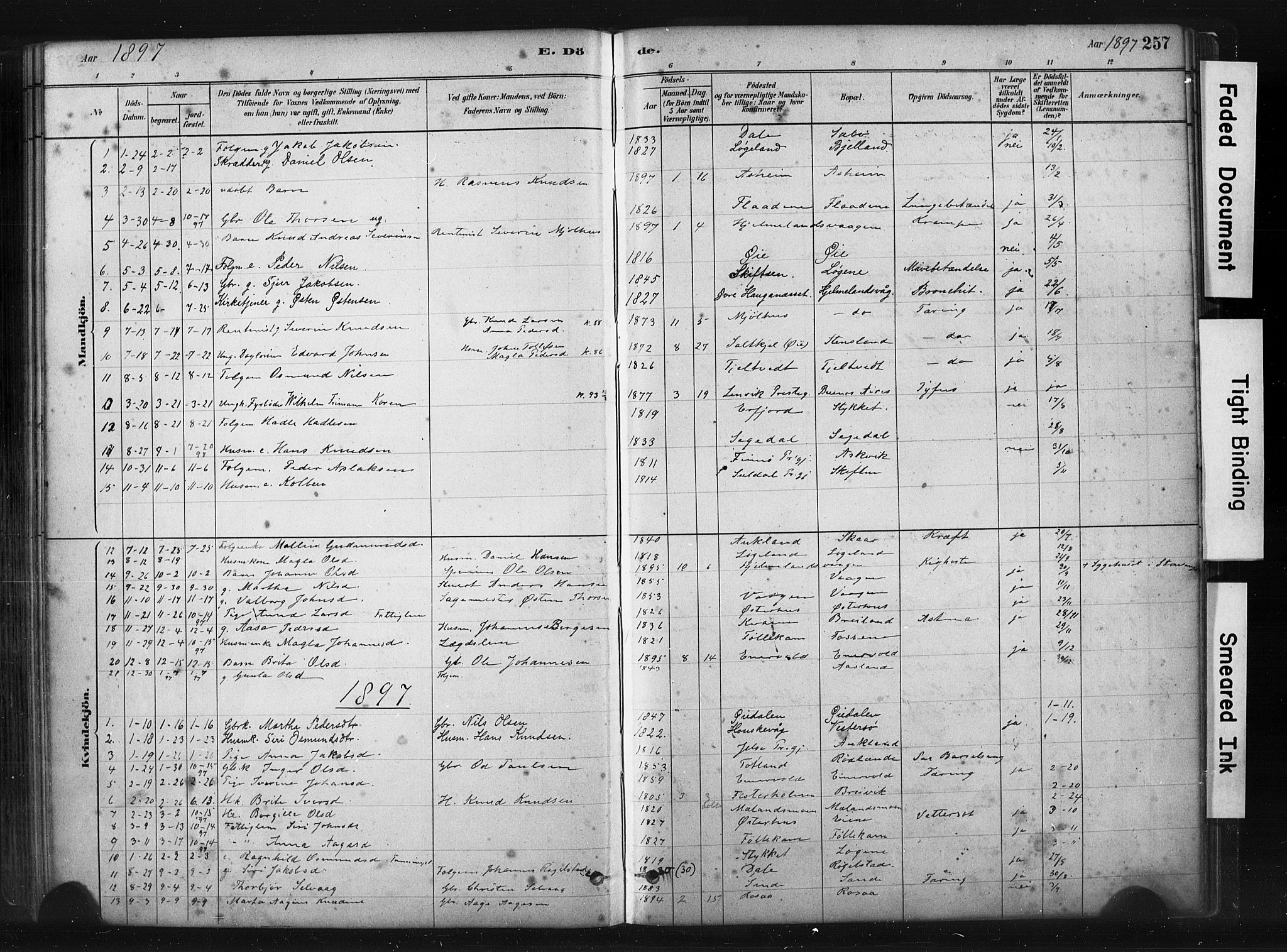 Hjelmeland sokneprestkontor, AV/SAST-A-101843/01/IV/L0014: Parish register (official) no. A 14, 1879-1900, p. 257