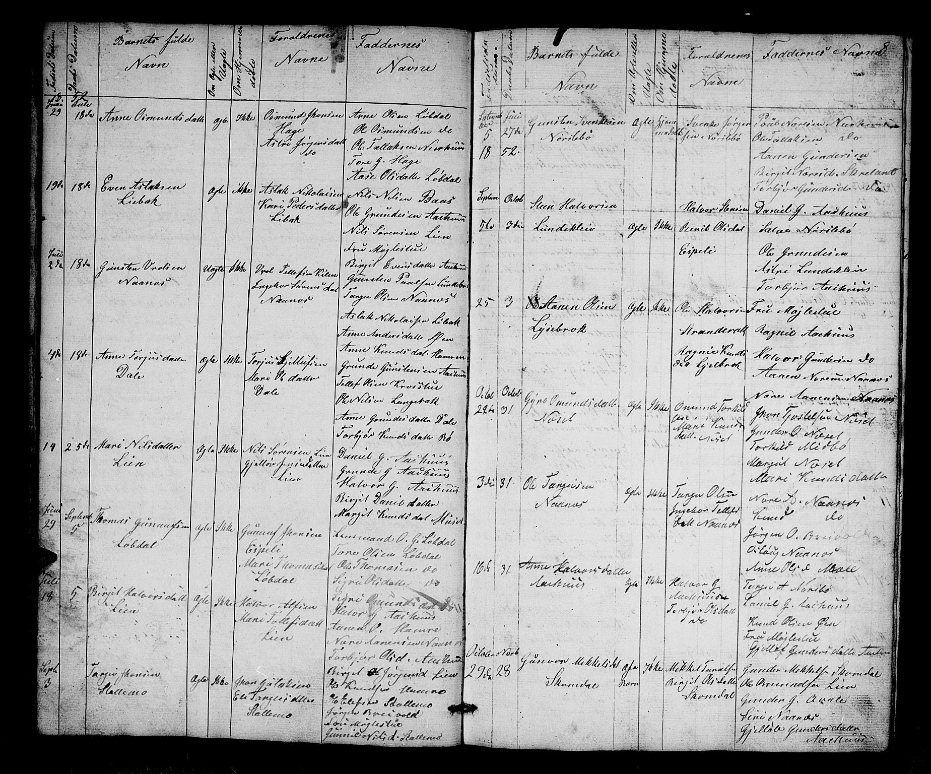 Bygland sokneprestkontor, AV/SAK-1111-0006/F/Fb/Fbb/L0002: Parish register (copy) no. B 2, 1848-1886, p. 8