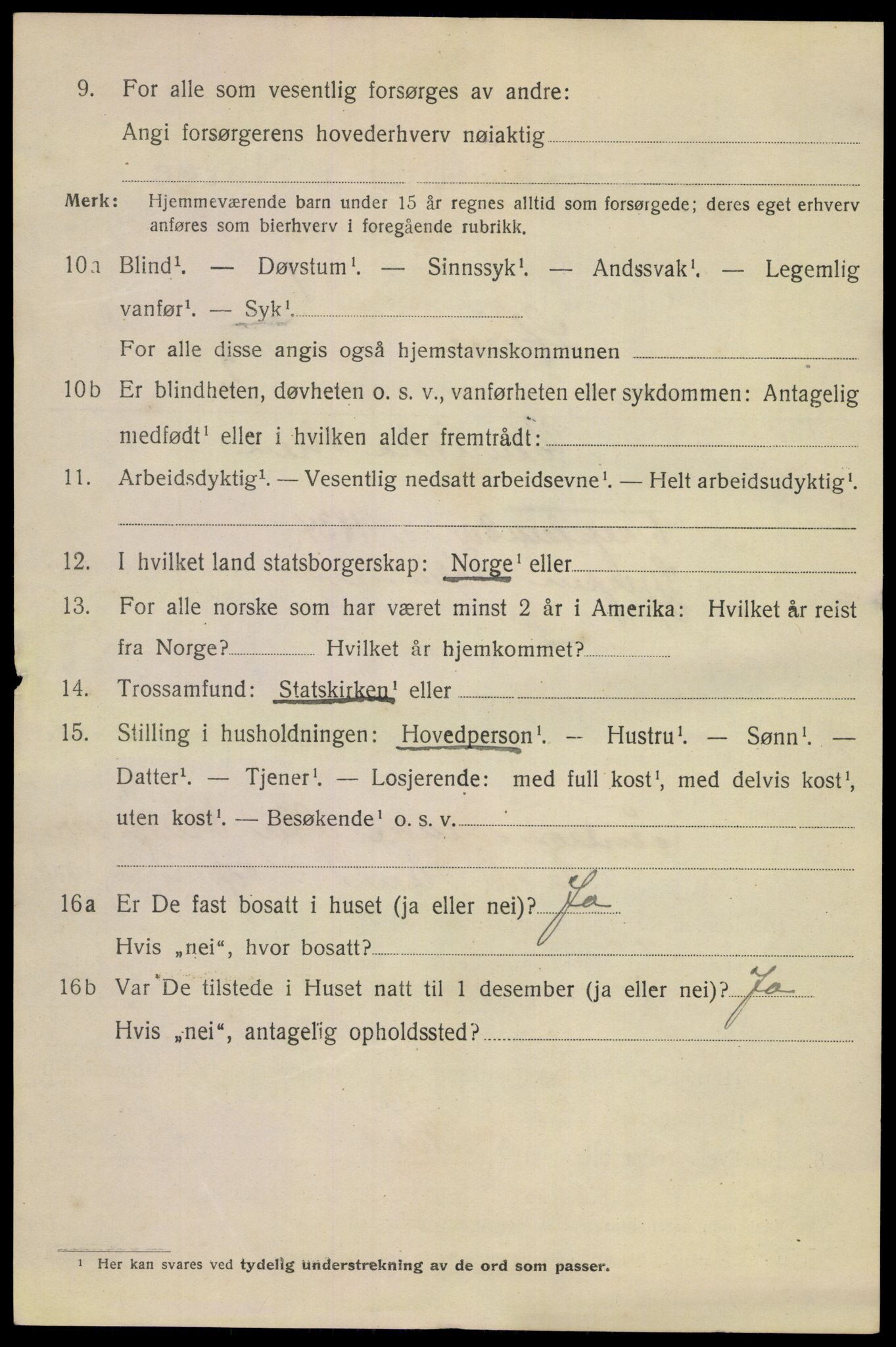 SAKO, 1920 census for Skien, 1920, p. 16837
