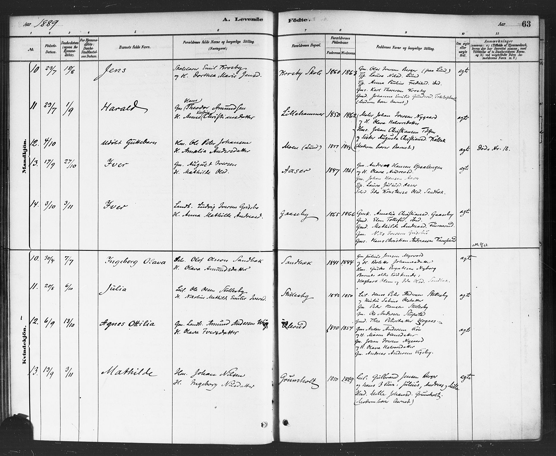 Rødenes prestekontor Kirkebøker, AV/SAO-A-2005/F/Fa/L0009: Parish register (official) no. I 9, 1880-1889, p. 63