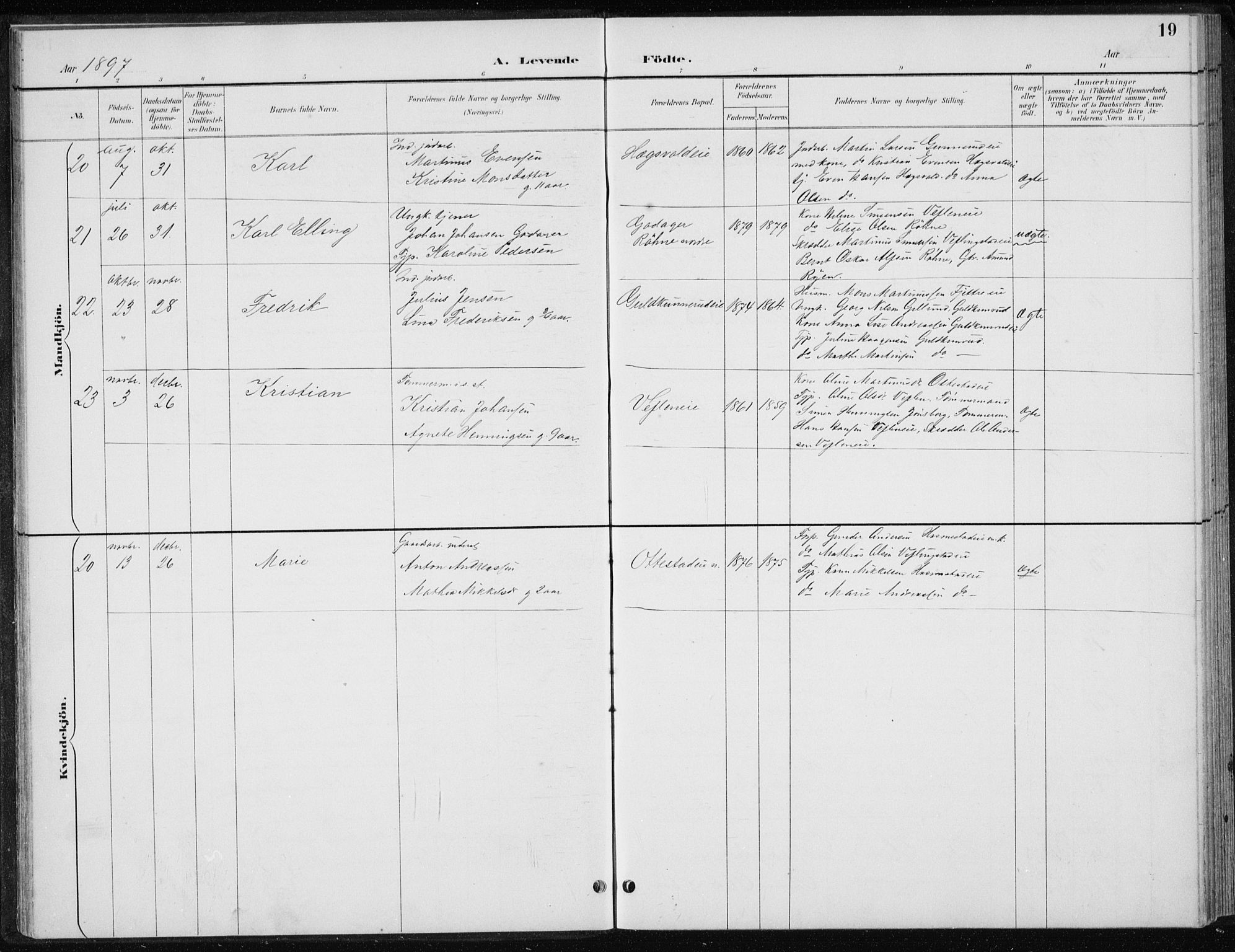 Stange prestekontor, AV/SAH-PREST-002/L/L0010: Parish register (copy) no. 10, 1894-1905, p. 19