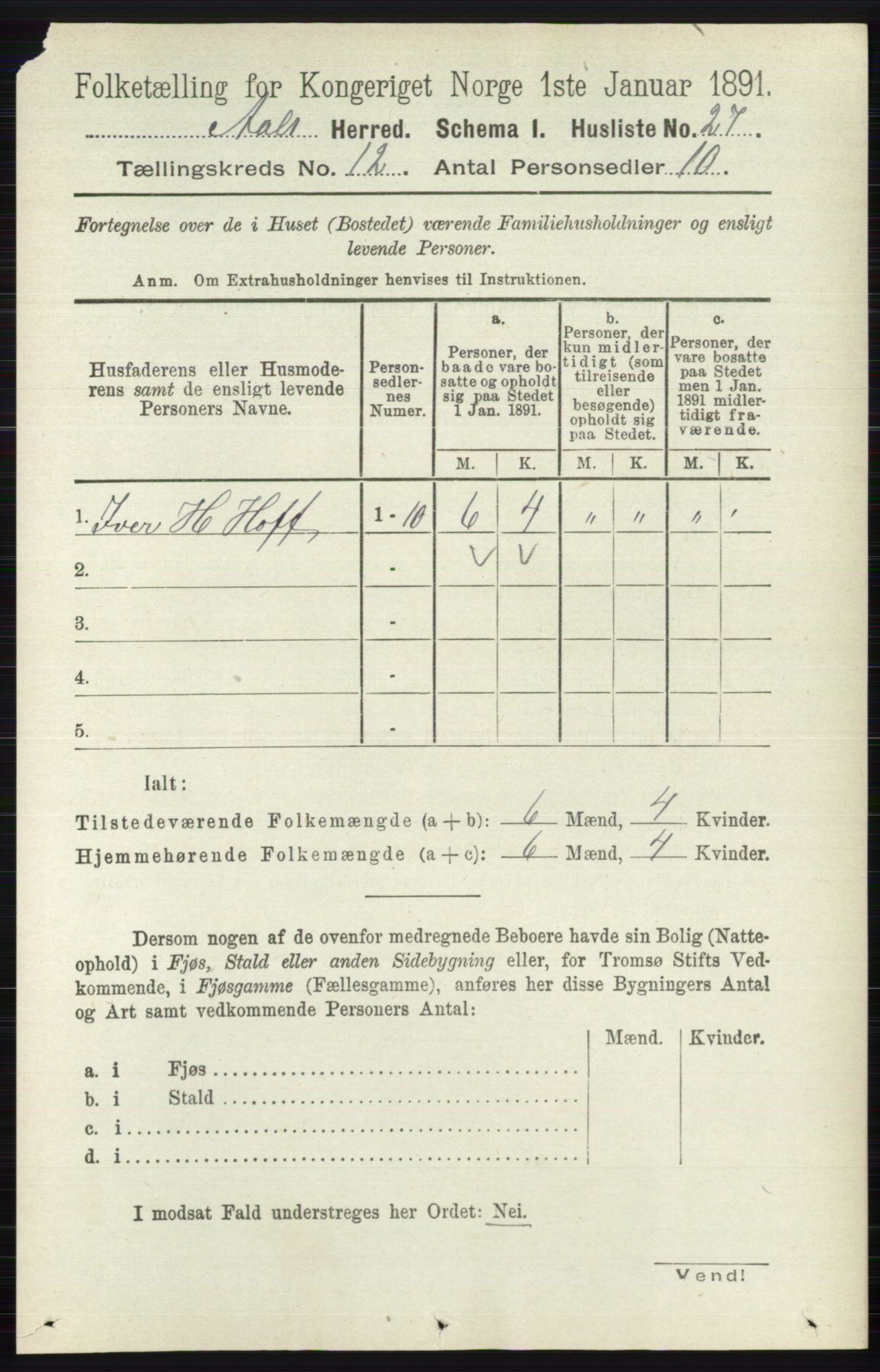 RA, 1891 census for 0619 Ål, 1891, p. 2996