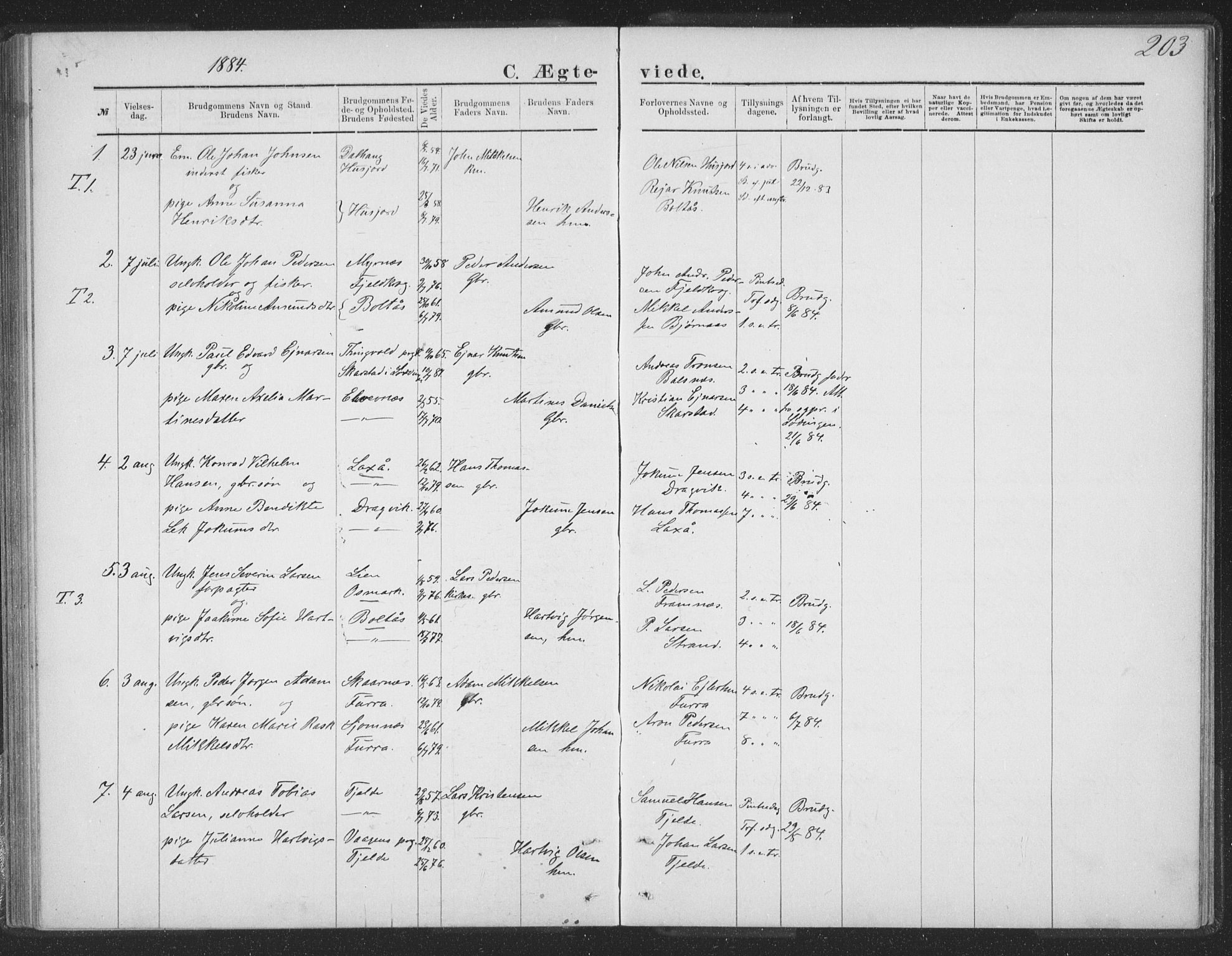 Ministerialprotokoller, klokkerbøker og fødselsregistre - Nordland, AV/SAT-A-1459/863/L0913: Parish register (copy) no. 863C03, 1877-1885, p. 203