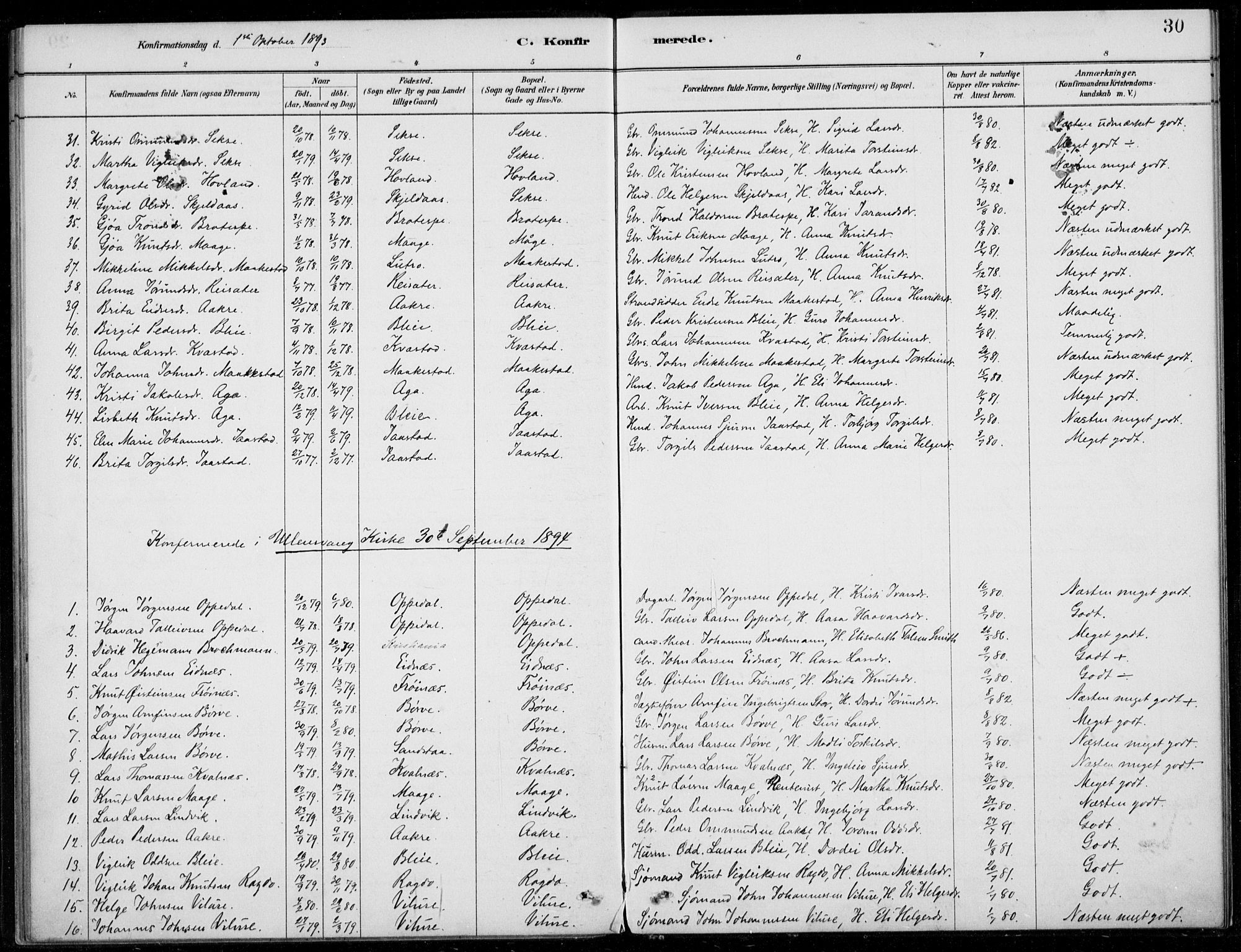 Ullensvang sokneprestembete, SAB/A-78701/H/Haa: Parish register (official) no. B  2, 1880-1910, p. 30