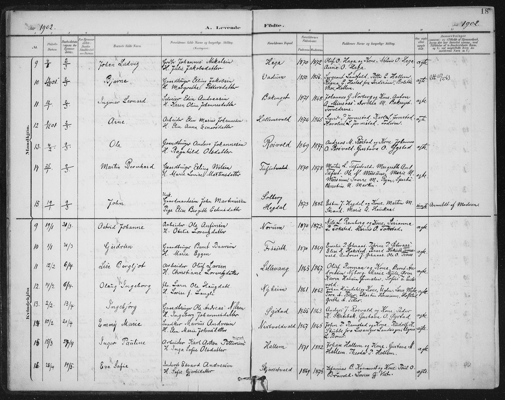 Ministerialprotokoller, klokkerbøker og fødselsregistre - Nord-Trøndelag, SAT/A-1458/723/L0246: Parish register (official) no. 723A15, 1900-1917, p. 18