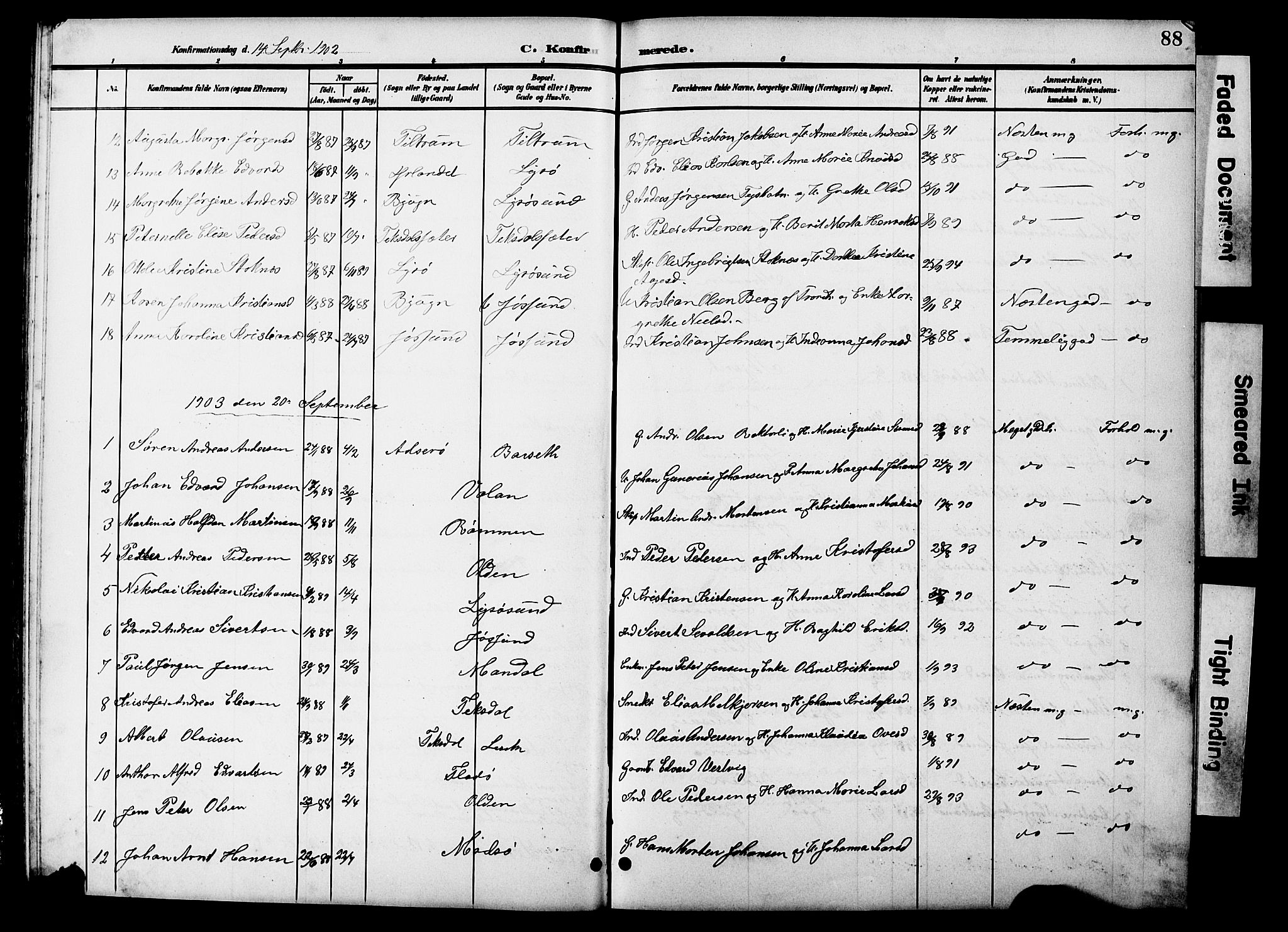 Ministerialprotokoller, klokkerbøker og fødselsregistre - Sør-Trøndelag, SAT/A-1456/654/L0666: Parish register (copy) no. 654C02, 1901-1925, p. 88