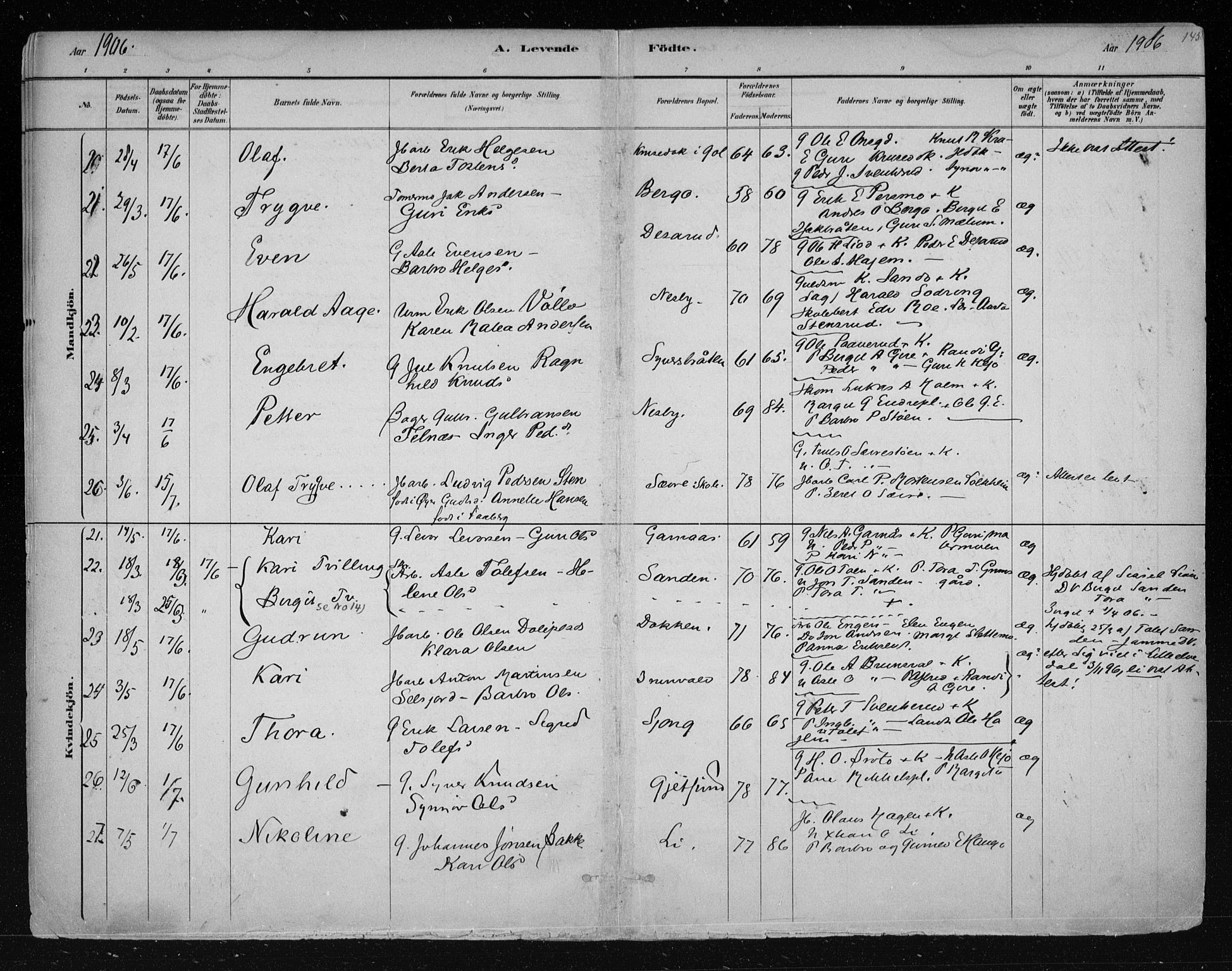 Nes kirkebøker, AV/SAKO-A-236/F/Fa/L0011: Parish register (official) no. 11, 1881-1912, p. 145