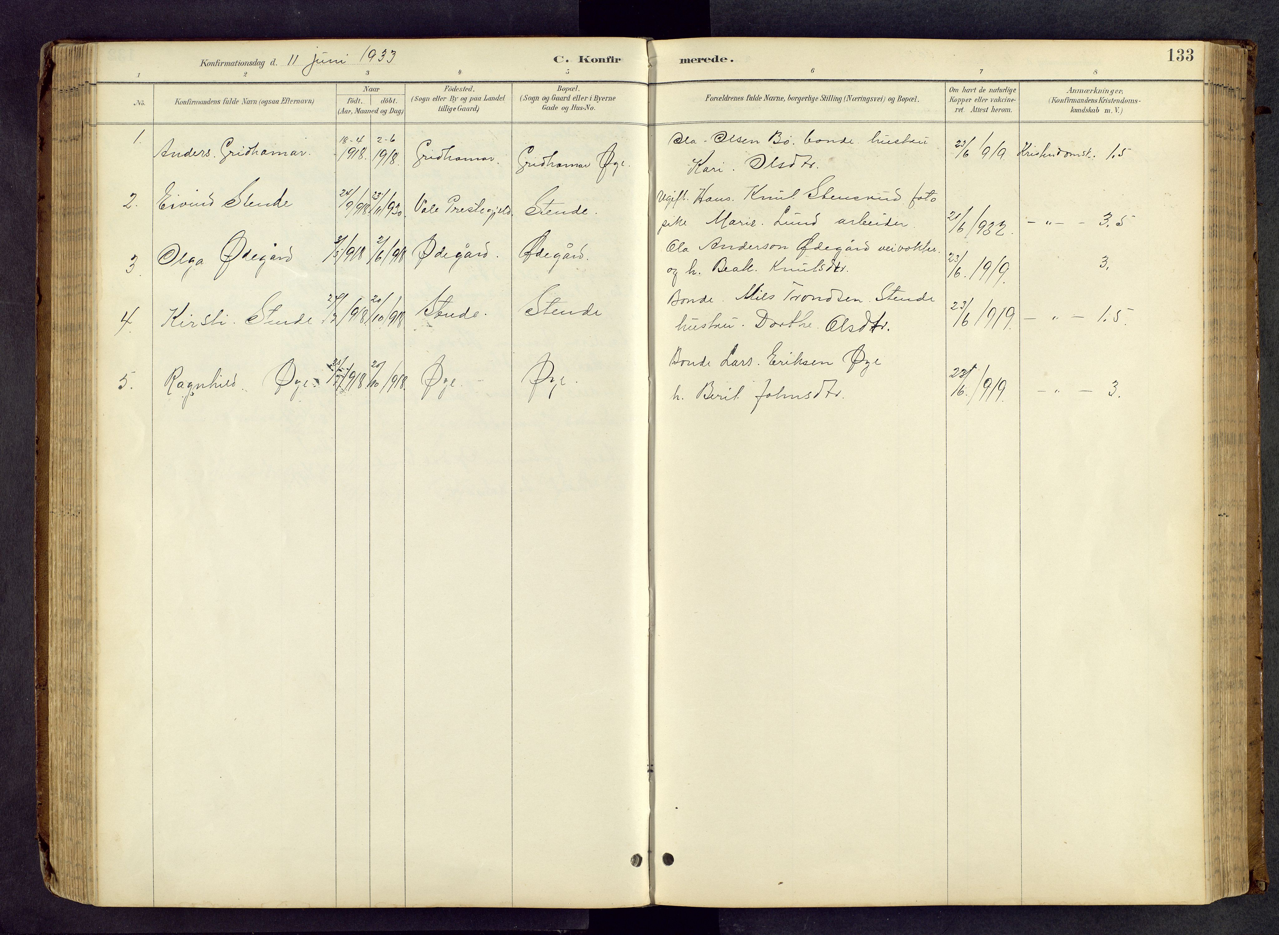 Vang prestekontor, Valdres, SAH/PREST-140/H/Hb/L0005: Parish register (copy) no. 5, 1889-1945, p. 133