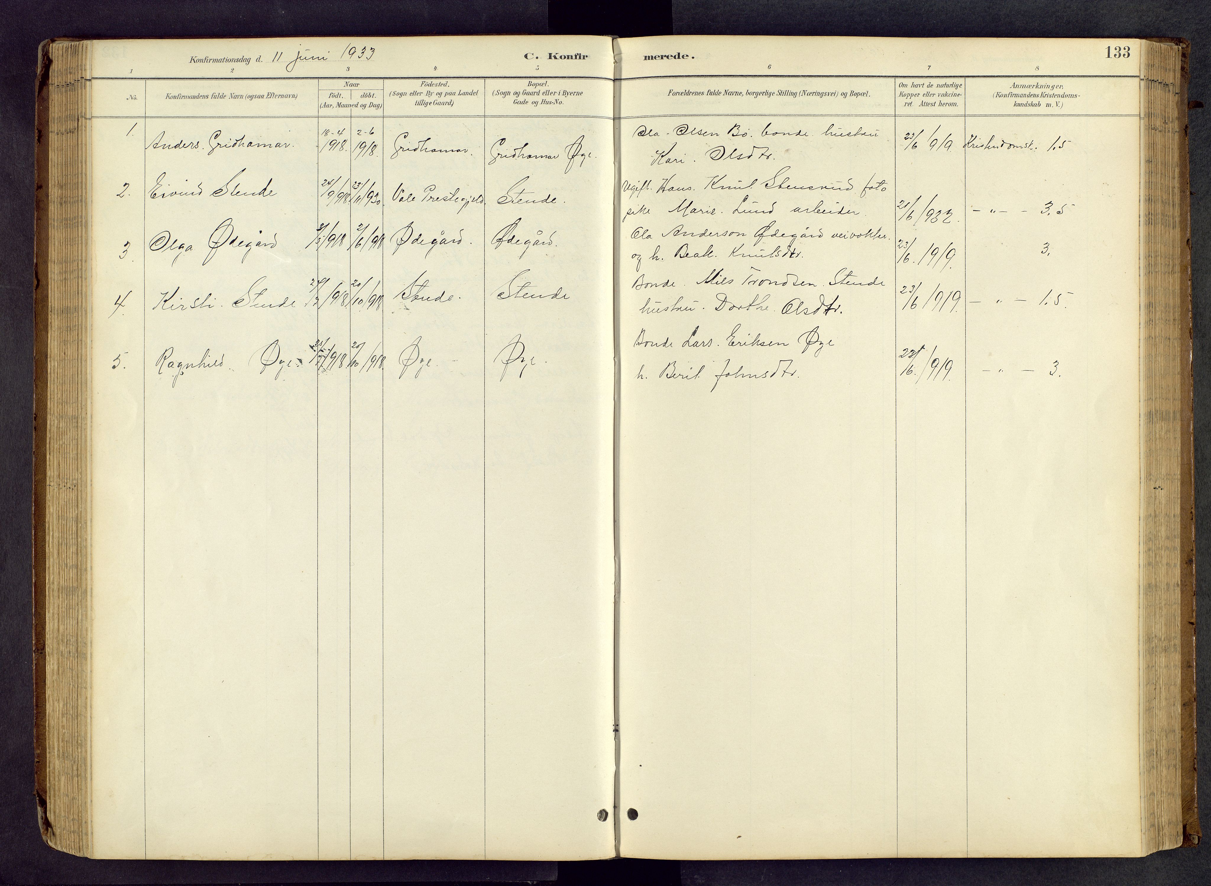 Vang prestekontor, Valdres, AV/SAH-PREST-140/H/Hb/L0005: Parish register (copy) no. 5, 1889-1945, p. 133