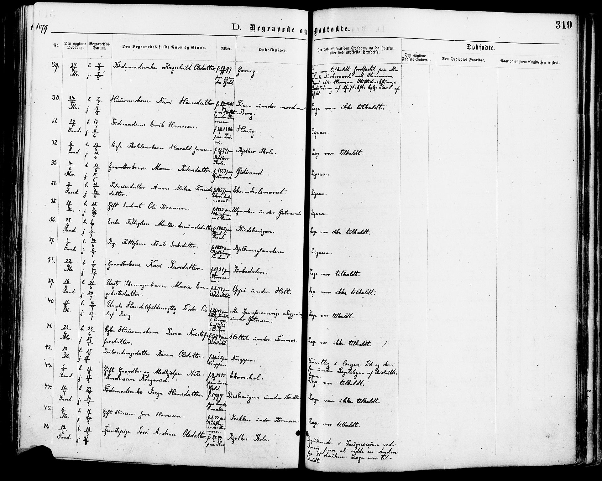 Nord-Odal prestekontor, AV/SAH-PREST-032/H/Ha/Haa/L0005: Parish register (official) no. 5, 1874-1885, p. 319