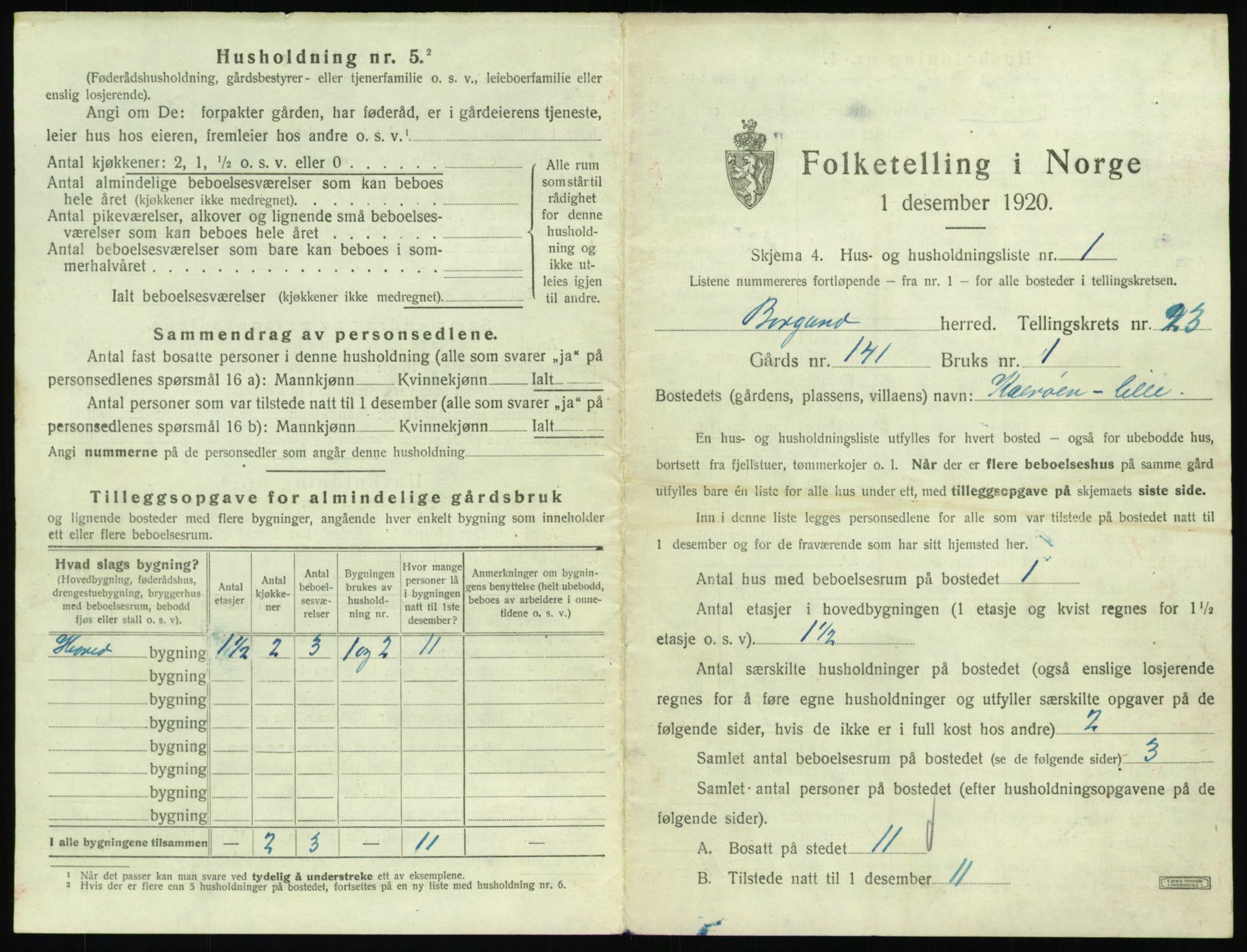 SAT, 1920 census for Borgund, 1920, p. 1960