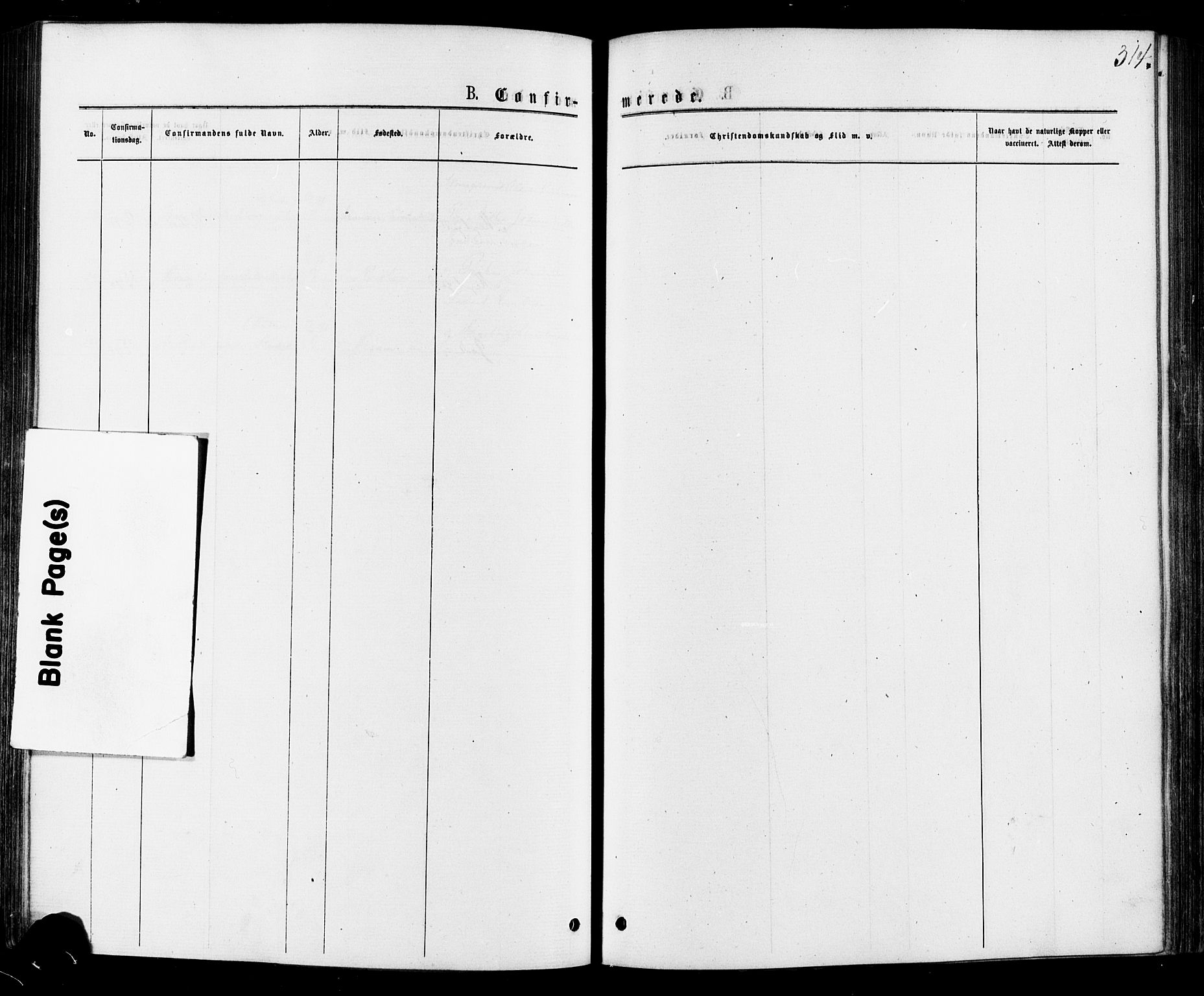 Østre Gausdal prestekontor, AV/SAH-PREST-092/H/Ha/Haa/L0001: Parish register (official) no. 1, 1874-1886, p. 314