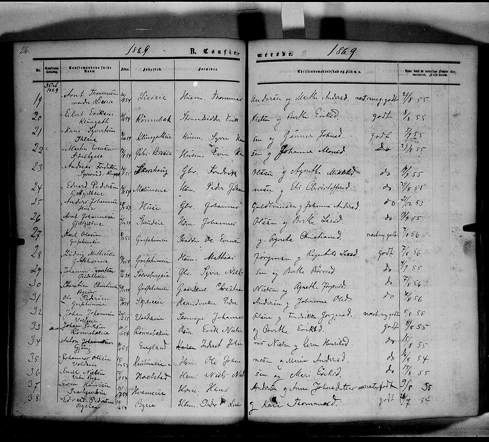 Nes prestekontor, Hedmark, AV/SAH-PREST-020/K/Ka/L0004: Parish register (official) no. 4, 1852-1886, p. 216