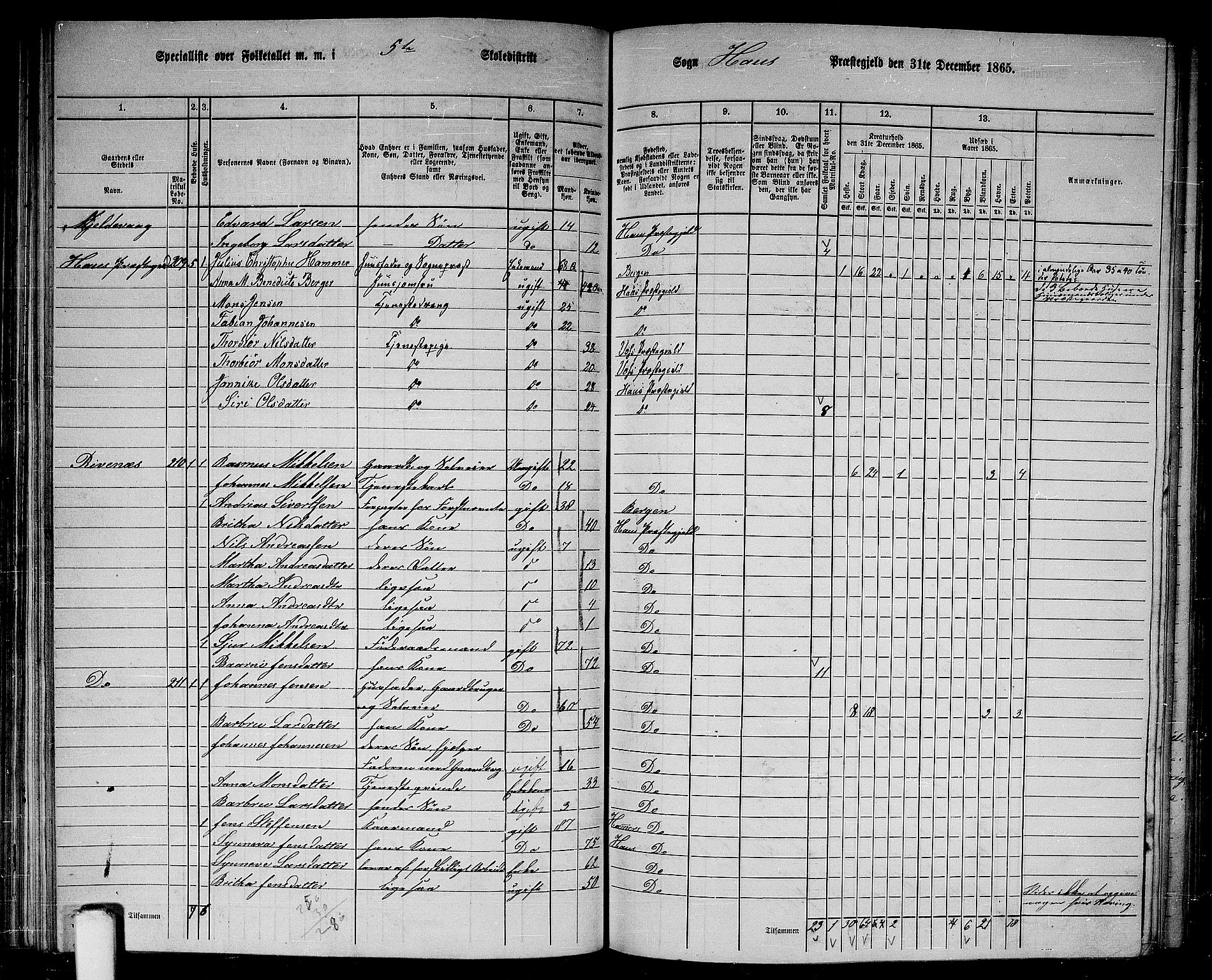 RA, 1865 census for Haus, 1865, p. 102