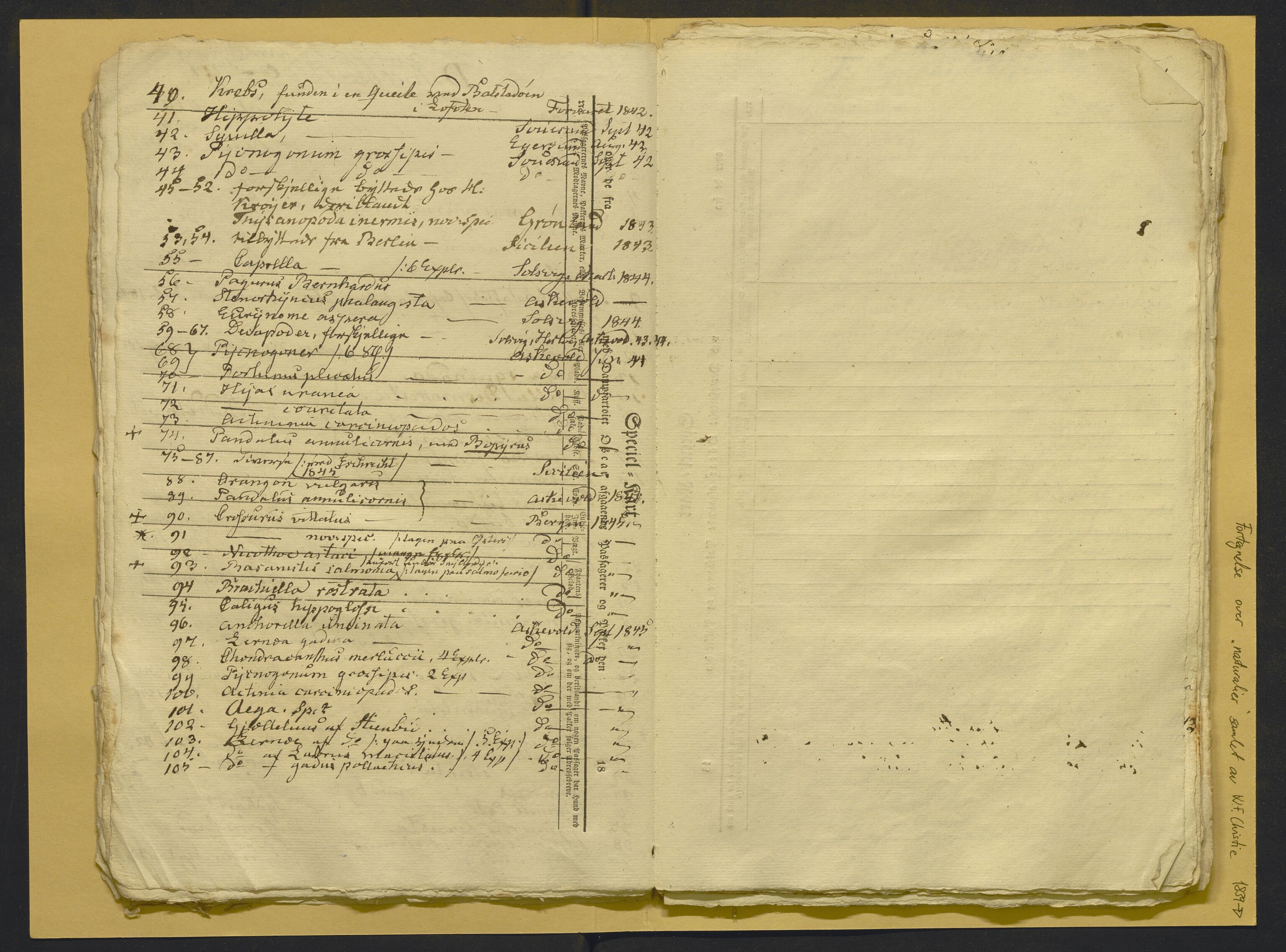 Bergens Museum, AV/SAB-A-17301/02/F/L0001: Kataloger over gjenstander og pergamentbrev , 1825-1880, p. 538