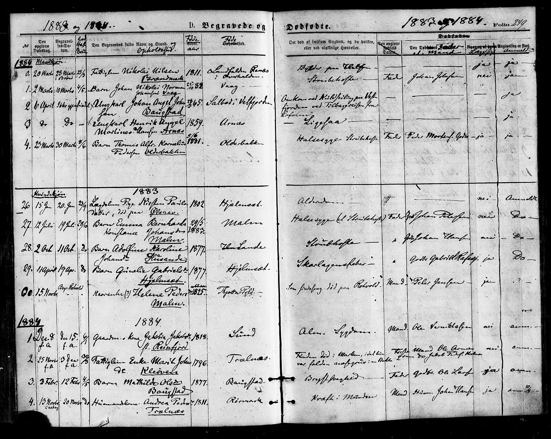 Ministerialprotokoller, klokkerbøker og fødselsregistre - Nordland, SAT/A-1459/812/L0177: Parish register (official) no. 812A06, 1875-1885, p. 249