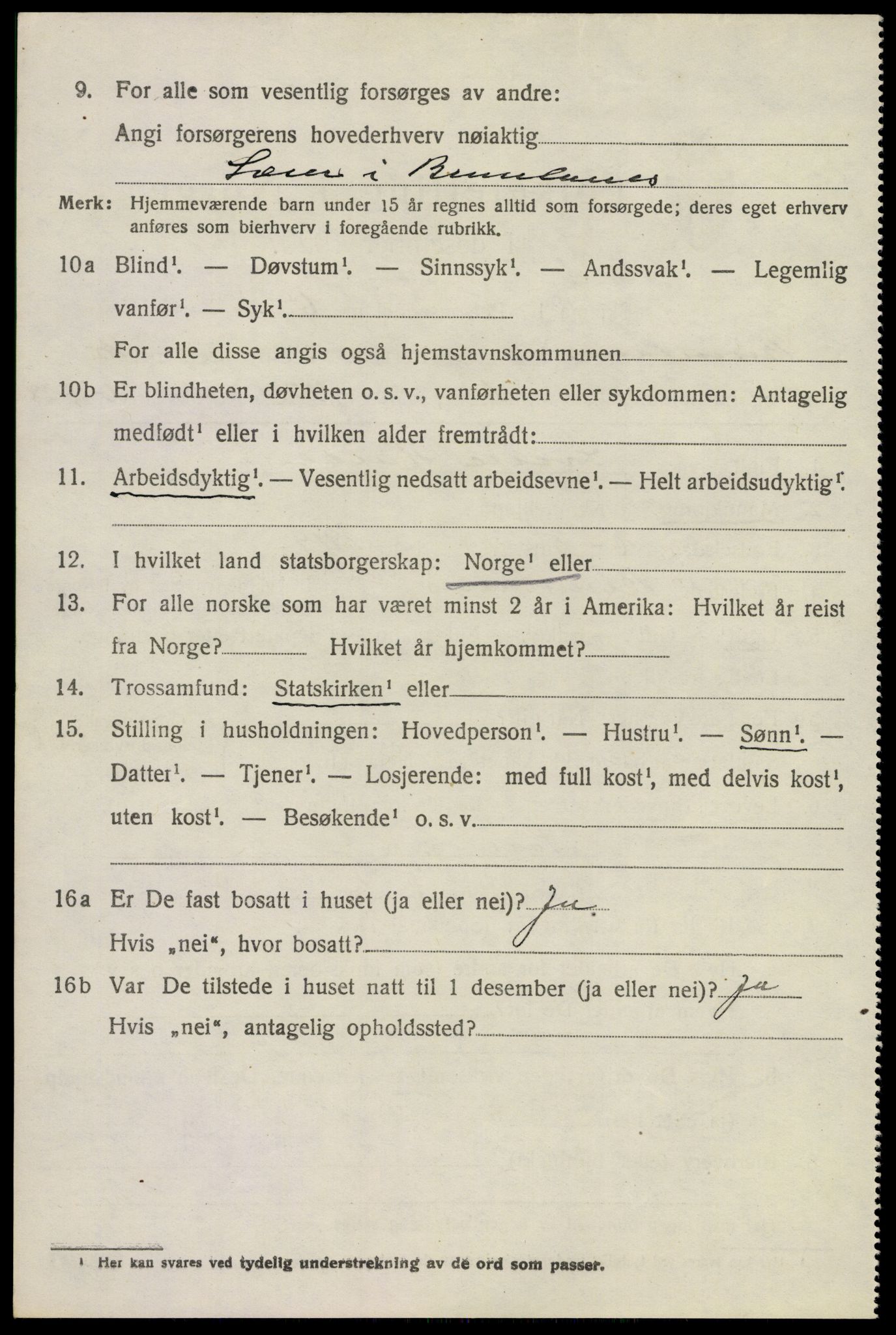 SAKO, 1920 census for Brunlanes, 1920, p. 8618