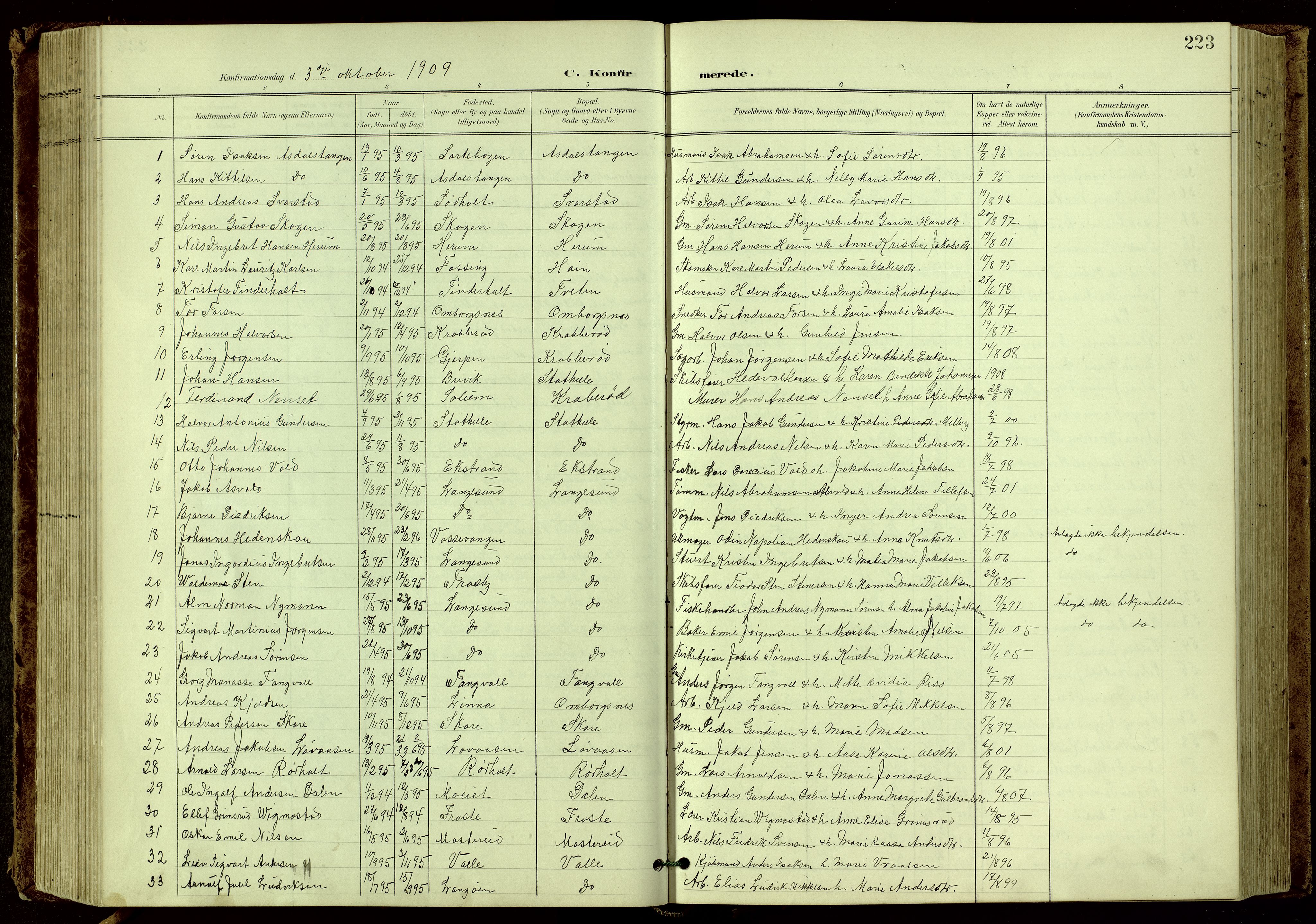 Bamble kirkebøker, SAKO/A-253/G/Ga/L0010: Parish register (copy) no. I 10, 1901-1919, p. 223