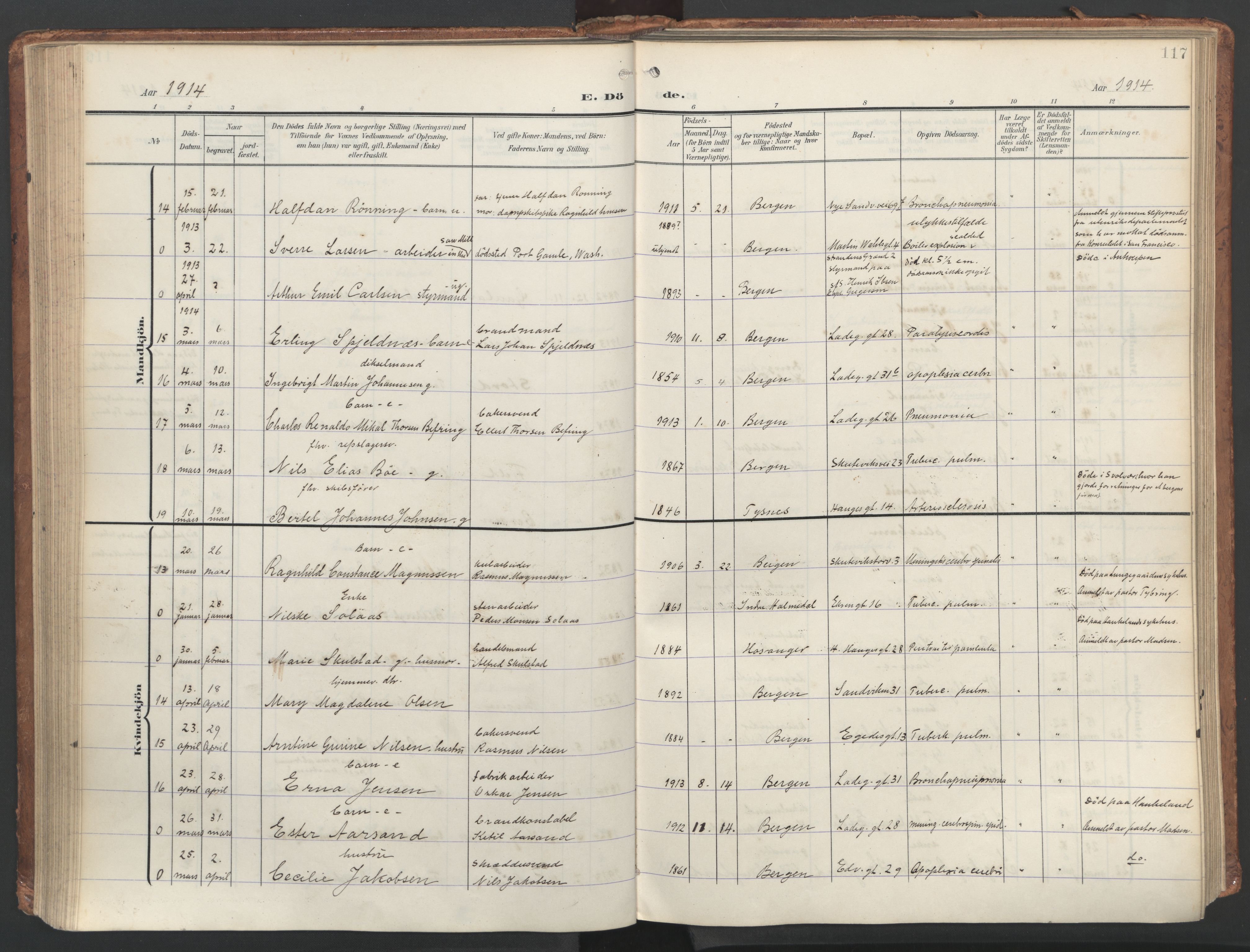 Sandviken Sokneprestembete, SAB/A-77601/H/Ha/L0019: Parish register (official) no. E 2, 1905-1933, p. 117