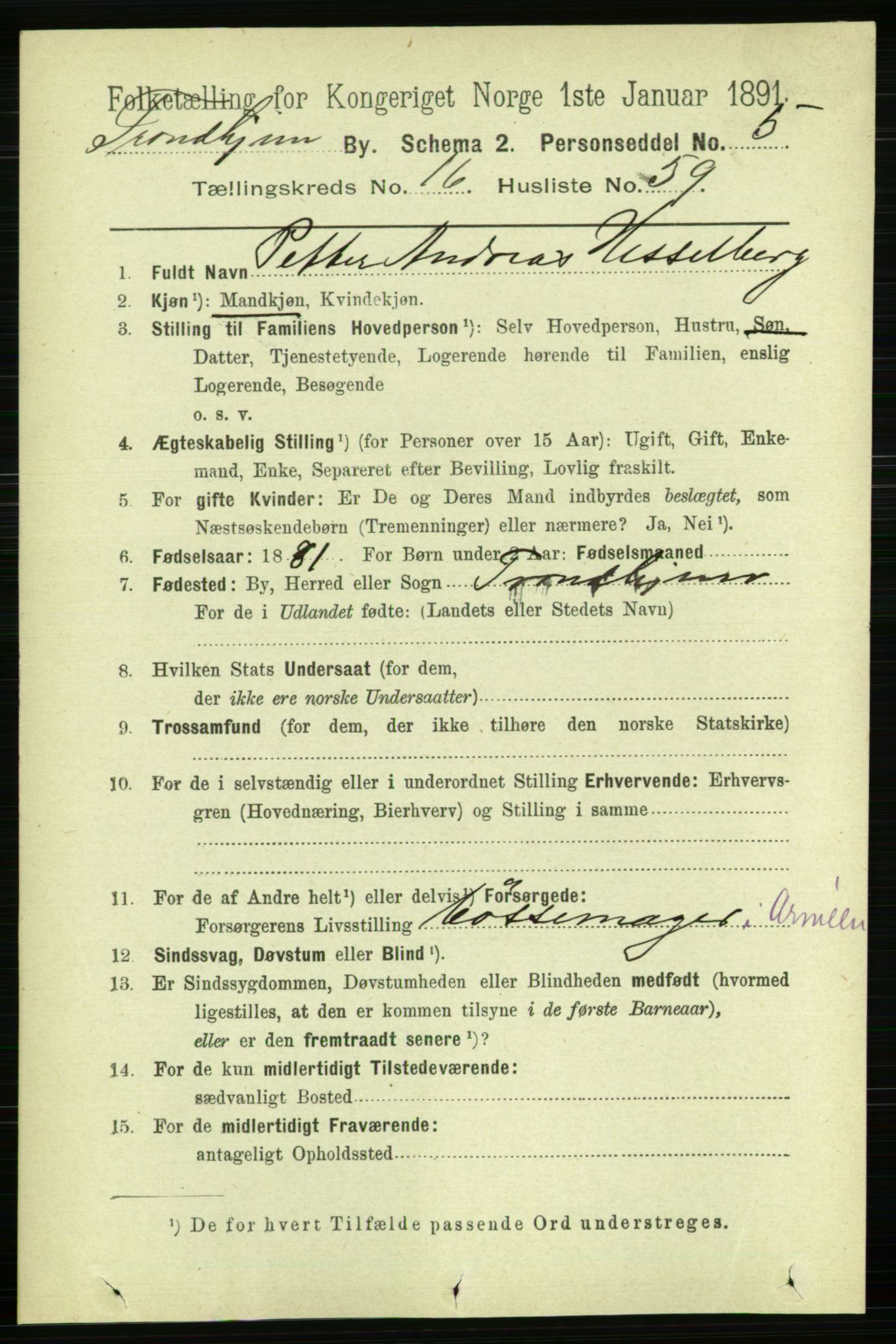 RA, 1891 census for 1601 Trondheim, 1891, p. 13004