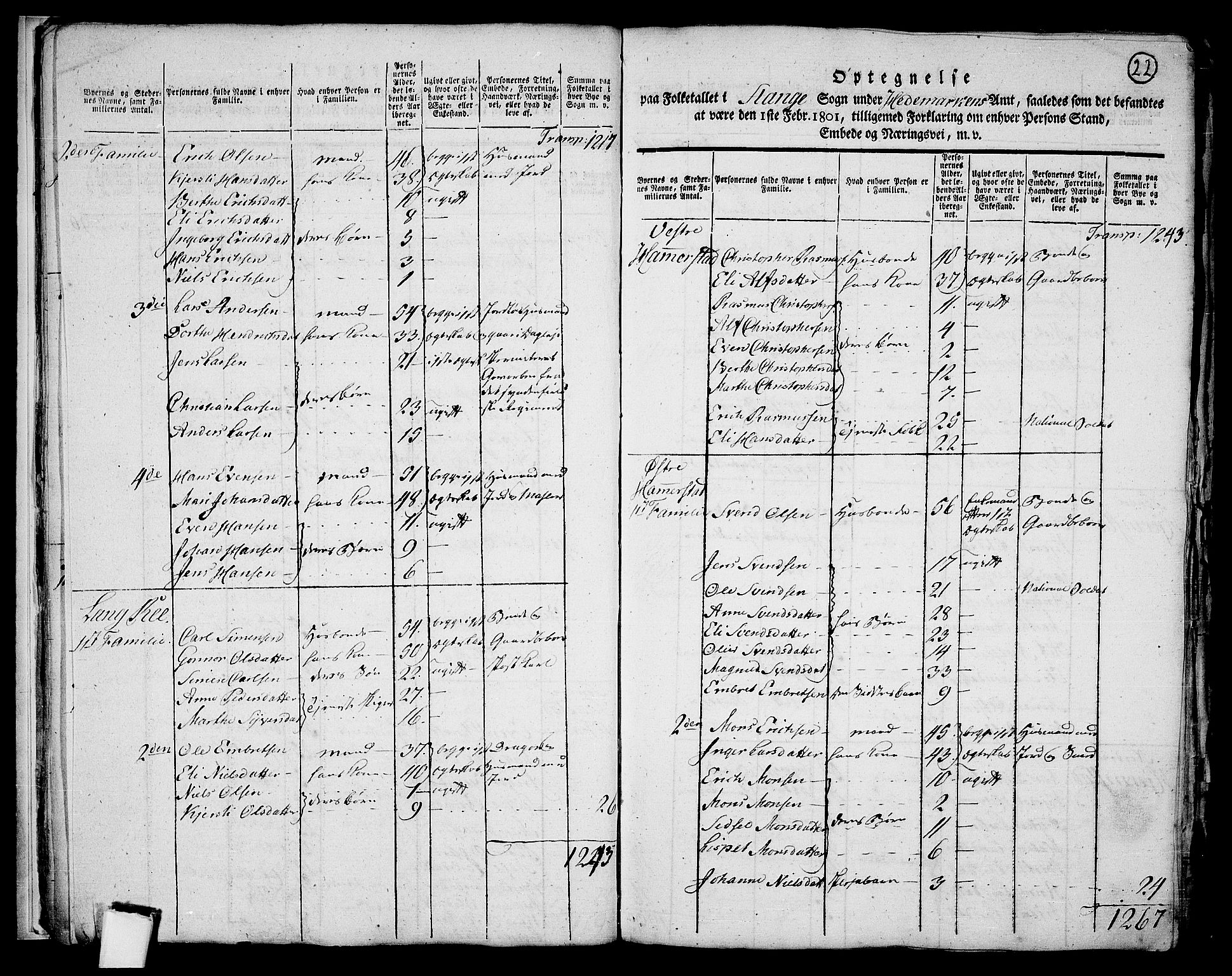 RA, 1801 census for 0417P Stange, 1801, p. 21b-22a