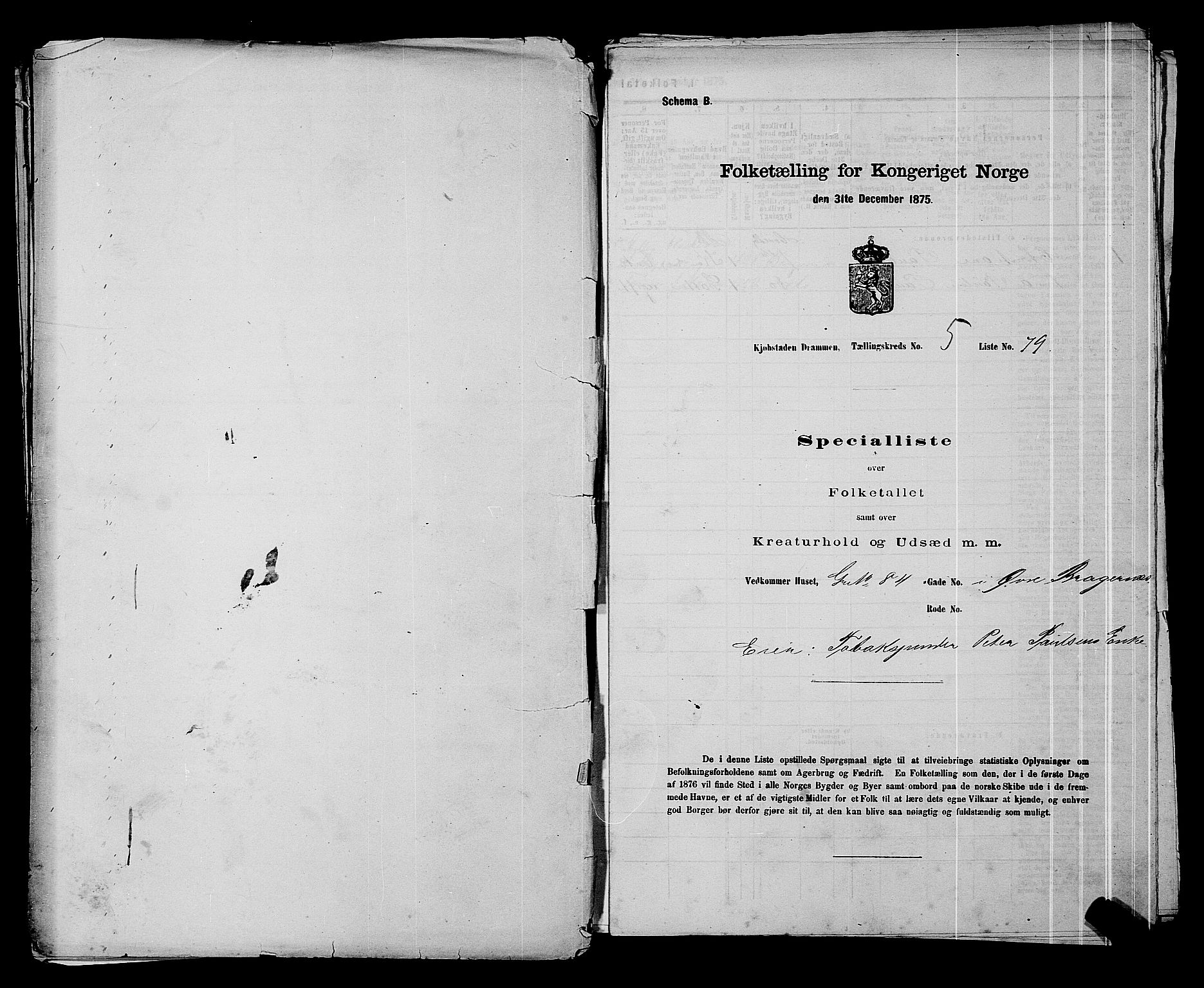 SAKO, 1875 census for 0602 Drammen, 1875, p. 431