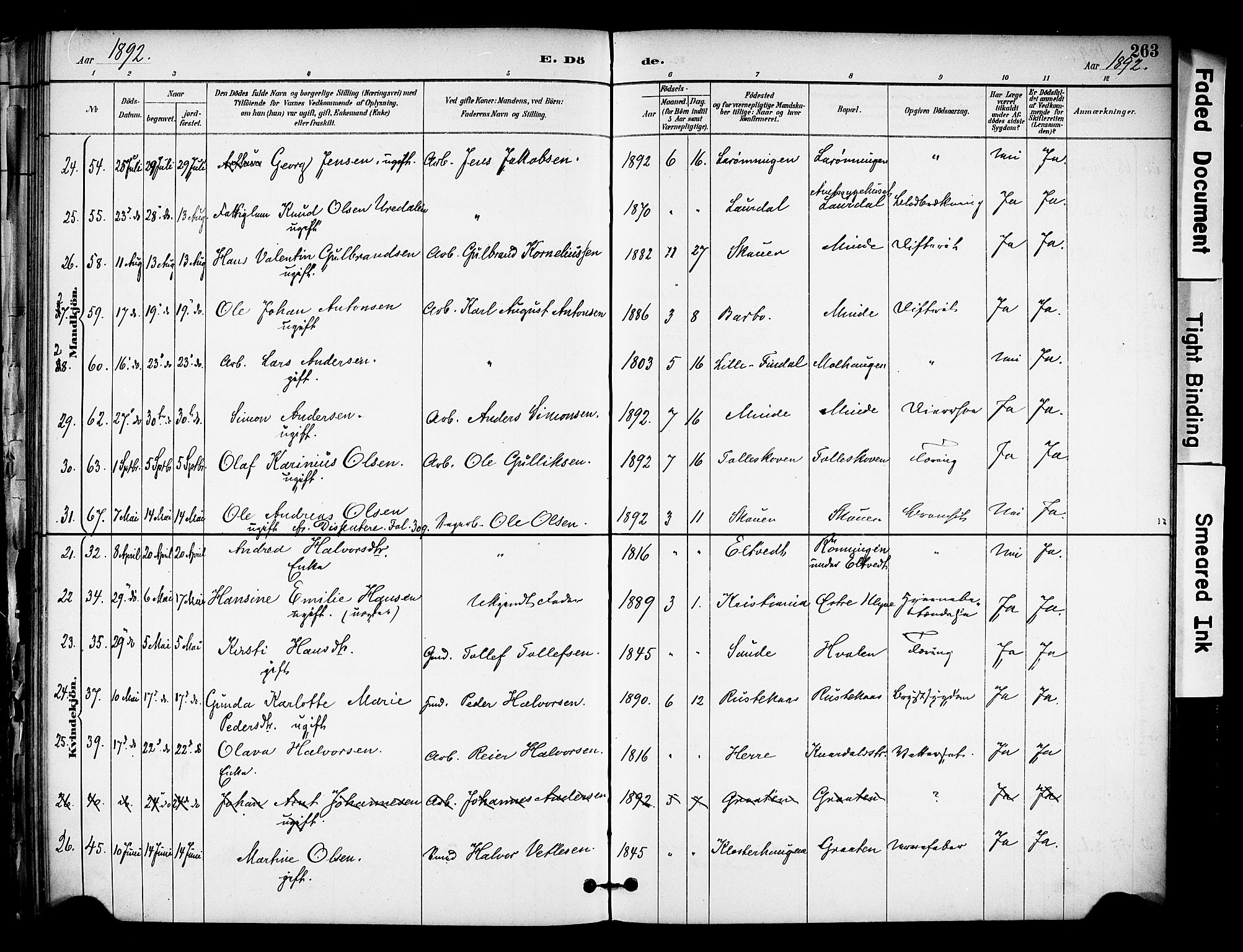 Solum kirkebøker, AV/SAKO-A-306/F/Fa/L0010: Parish register (official) no. I 10, 1888-1898, p. 263