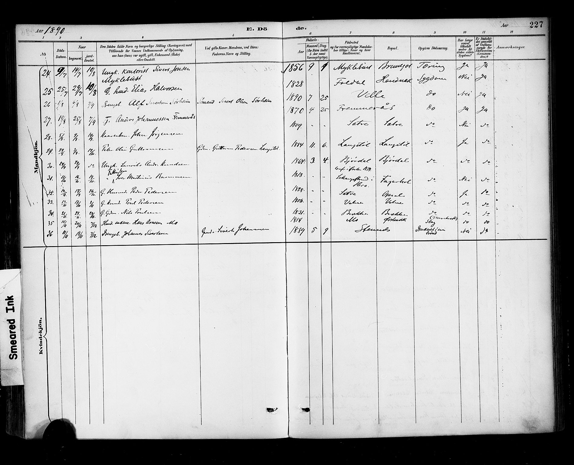 Ministerialprotokoller, klokkerbøker og fødselsregistre - Møre og Romsdal, AV/SAT-A-1454/513/L0177: Parish register (official) no. 513A04, 1890-1906, p. 227