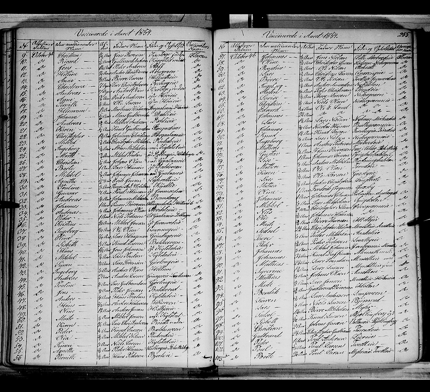 Vang prestekontor, Hedmark, AV/SAH-PREST-008/H/Ha/Haa/L0010: Parish register (official) no. 10, 1841-1855, p. 255