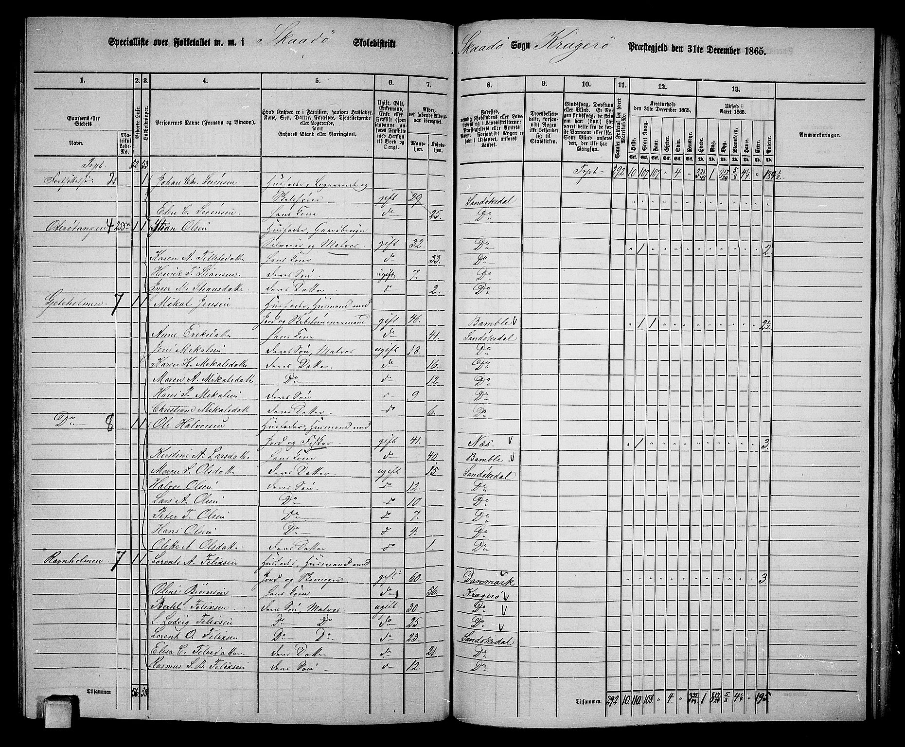 RA, 1865 census for Kragerø/Sannidal og Skåtøy, 1865, p. 187