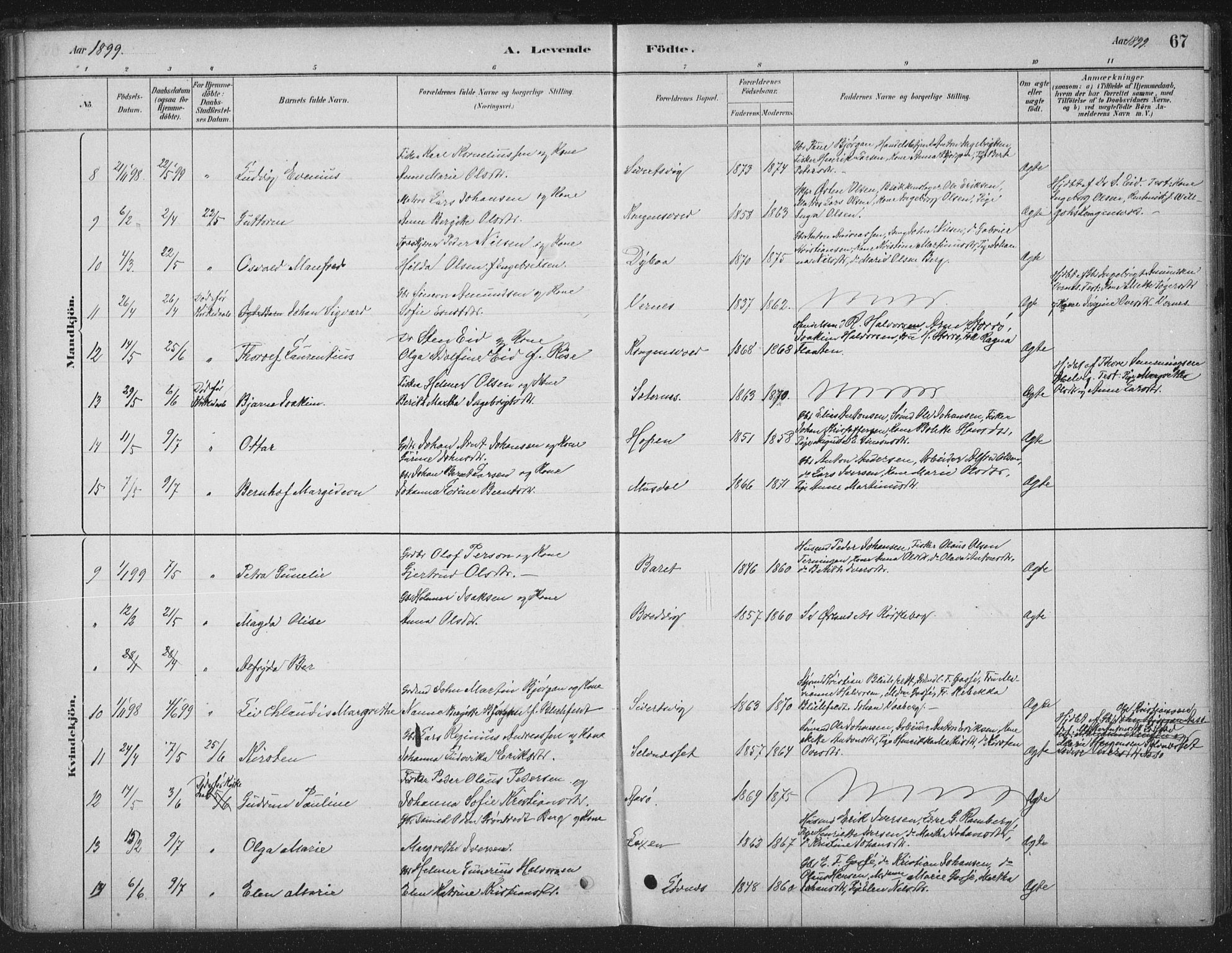 Ministerialprotokoller, klokkerbøker og fødselsregistre - Sør-Trøndelag, SAT/A-1456/662/L0755: Parish register (official) no. 662A01, 1879-1905, p. 67