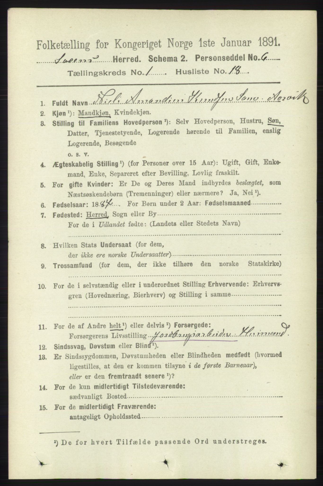 RA, 1891 census for 1216 Sveio, 1891, p. 205