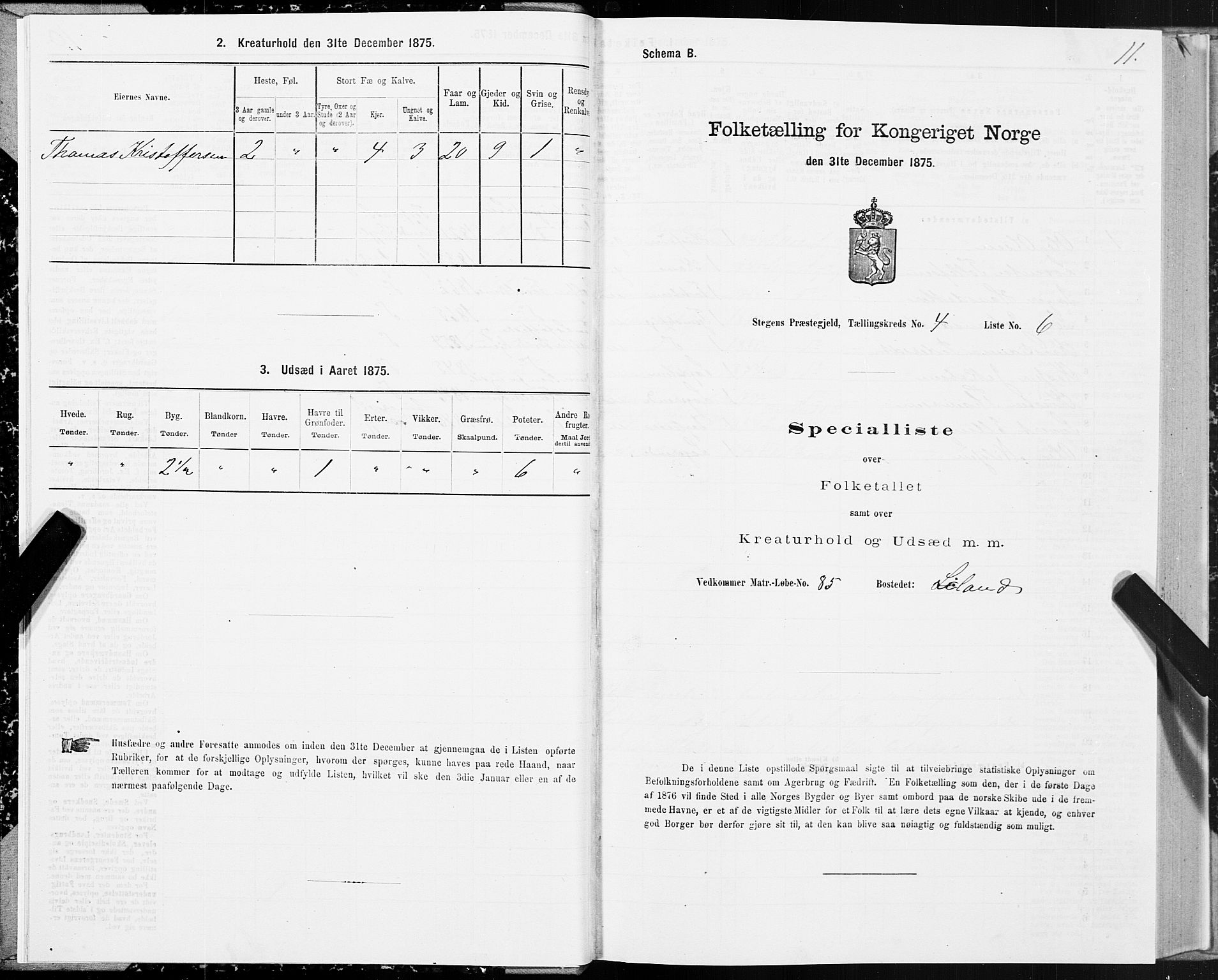 SAT, 1875 census for 1848P Steigen, 1875, p. 2011