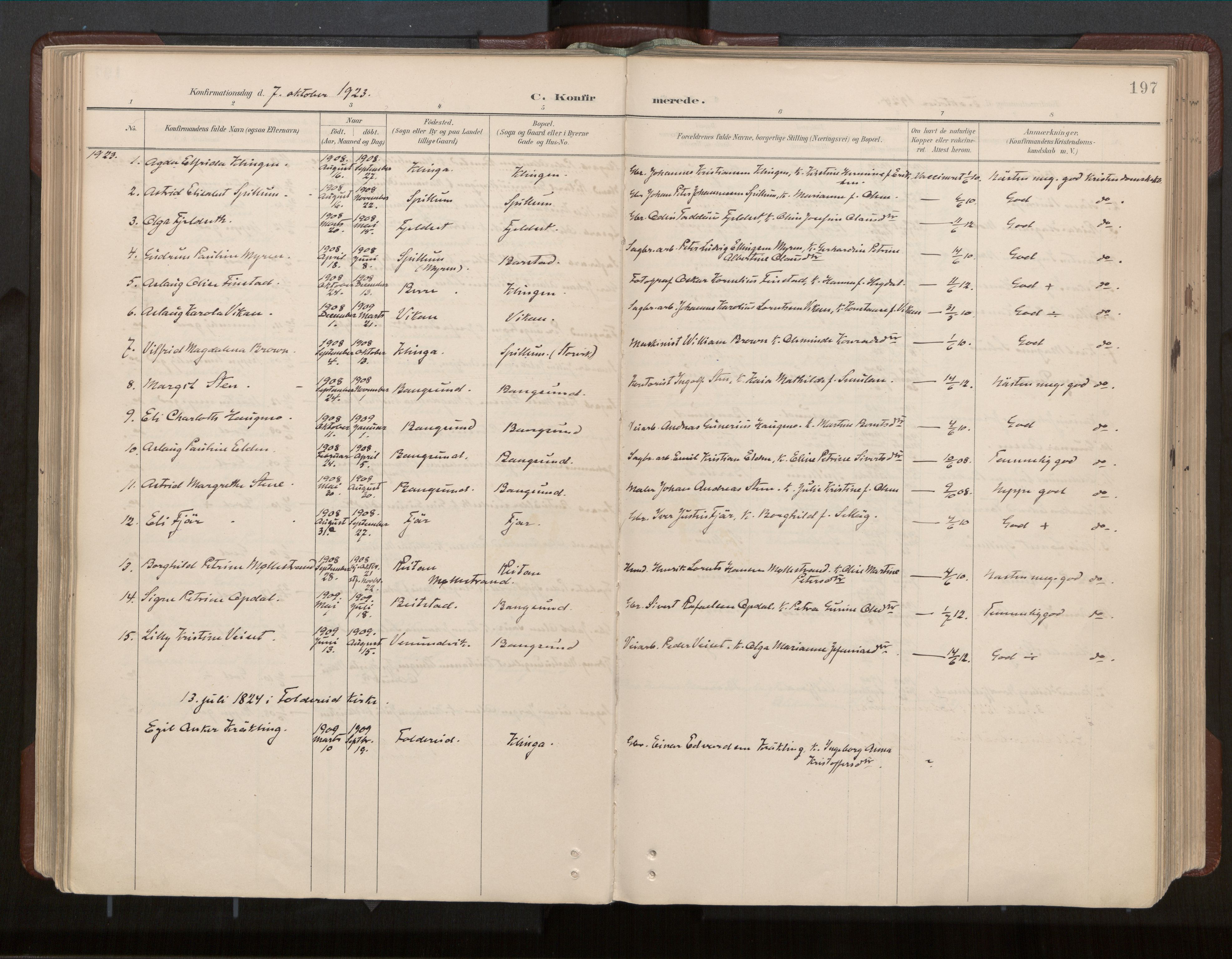 Ministerialprotokoller, klokkerbøker og fødselsregistre - Nord-Trøndelag, AV/SAT-A-1458/770/L0589: Parish register (official) no. 770A03, 1887-1929, p. 197