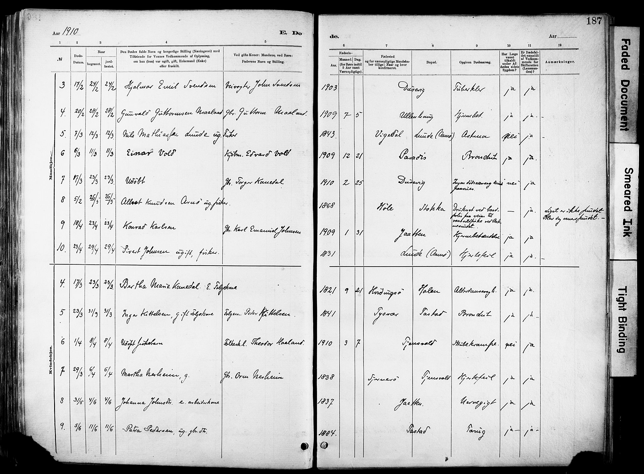 Hetland sokneprestkontor, SAST/A-101826/30/30BA/L0012: Parish register (official) no. A 12, 1882-1912, p. 187