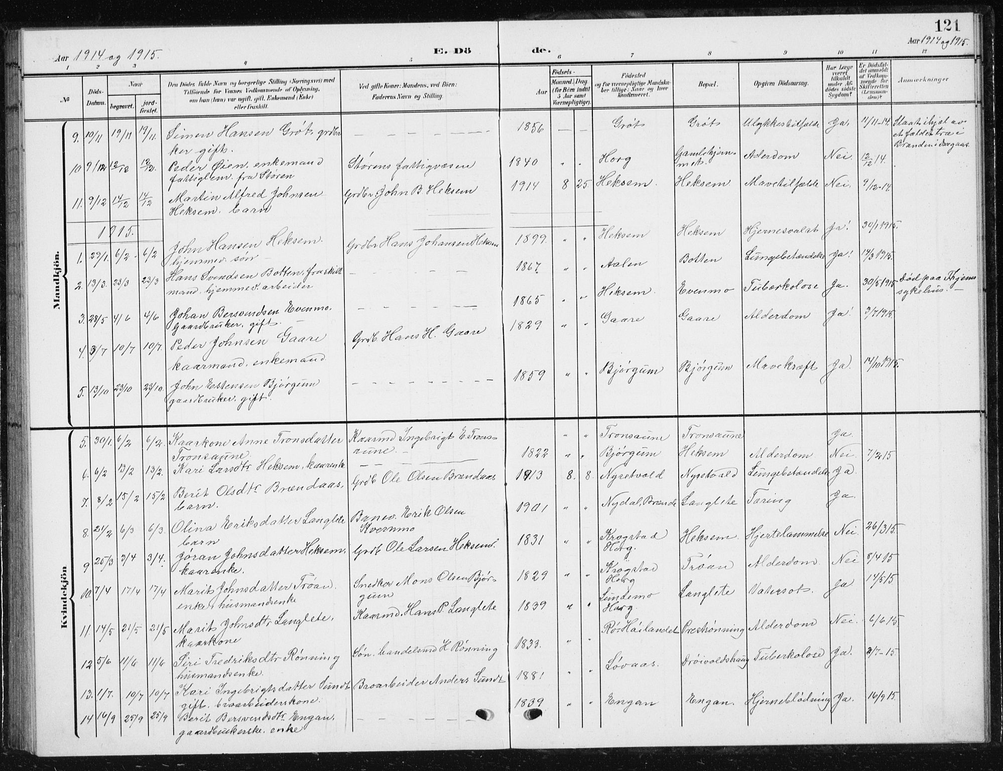 Ministerialprotokoller, klokkerbøker og fødselsregistre - Sør-Trøndelag, SAT/A-1456/685/L0979: Parish register (copy) no. 685C04, 1908-1933, p. 121