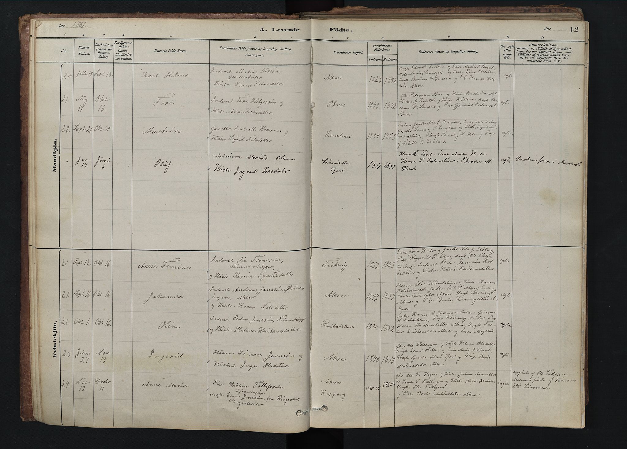 Rendalen prestekontor, SAH/PREST-054/H/Ha/Hab/L0009: Parish register (copy) no. 9, 1879-1902, p. 12