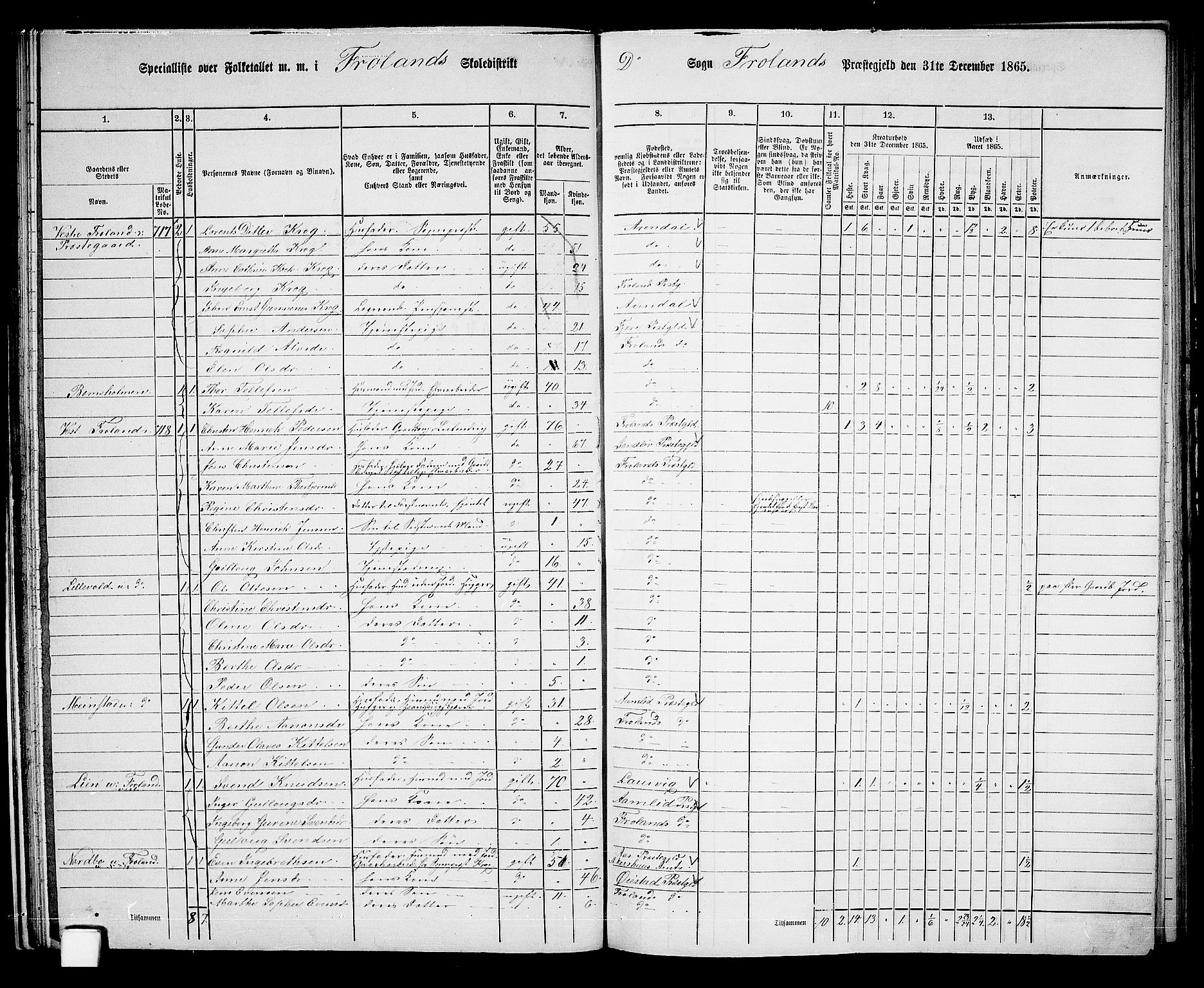 RA, 1865 census for Froland, 1865, p. 31