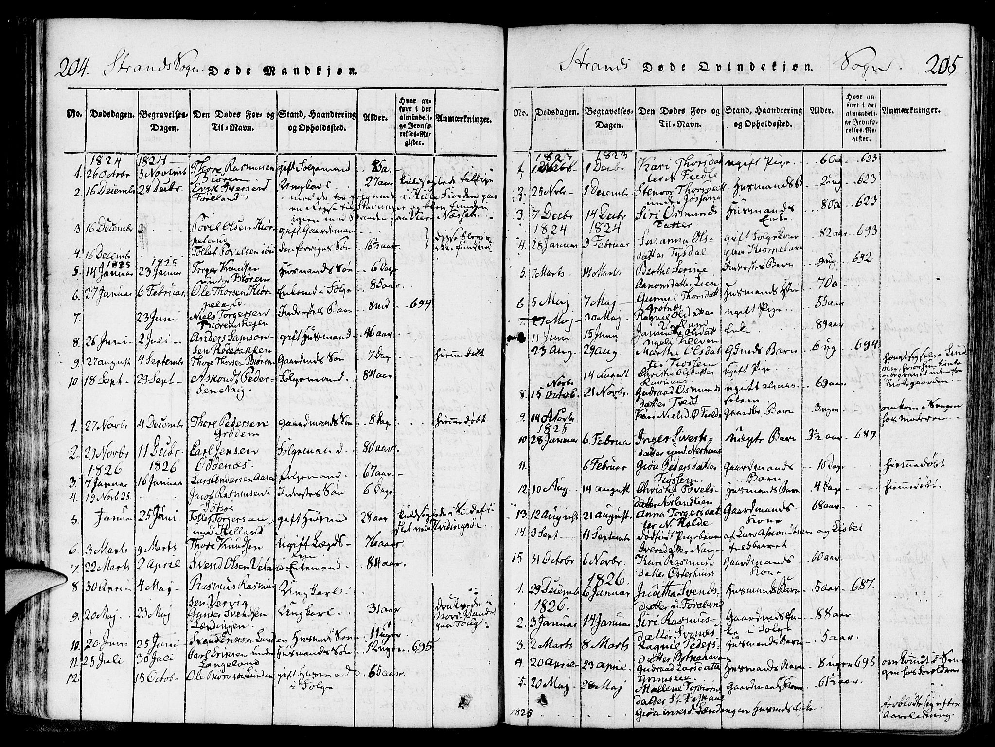 Strand sokneprestkontor, AV/SAST-A-101828/H/Ha/Haa/L0004: Parish register (official) no. A 4 /1, 1816-1833, p. 204-205