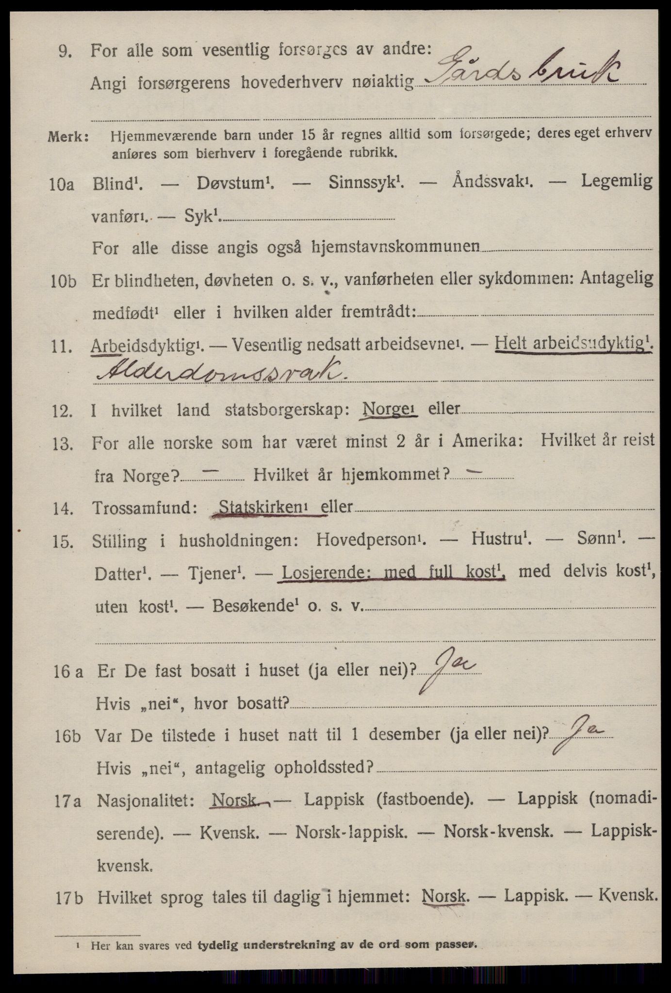 SAT, 1920 census for Nes (ST), 1920, p. 608